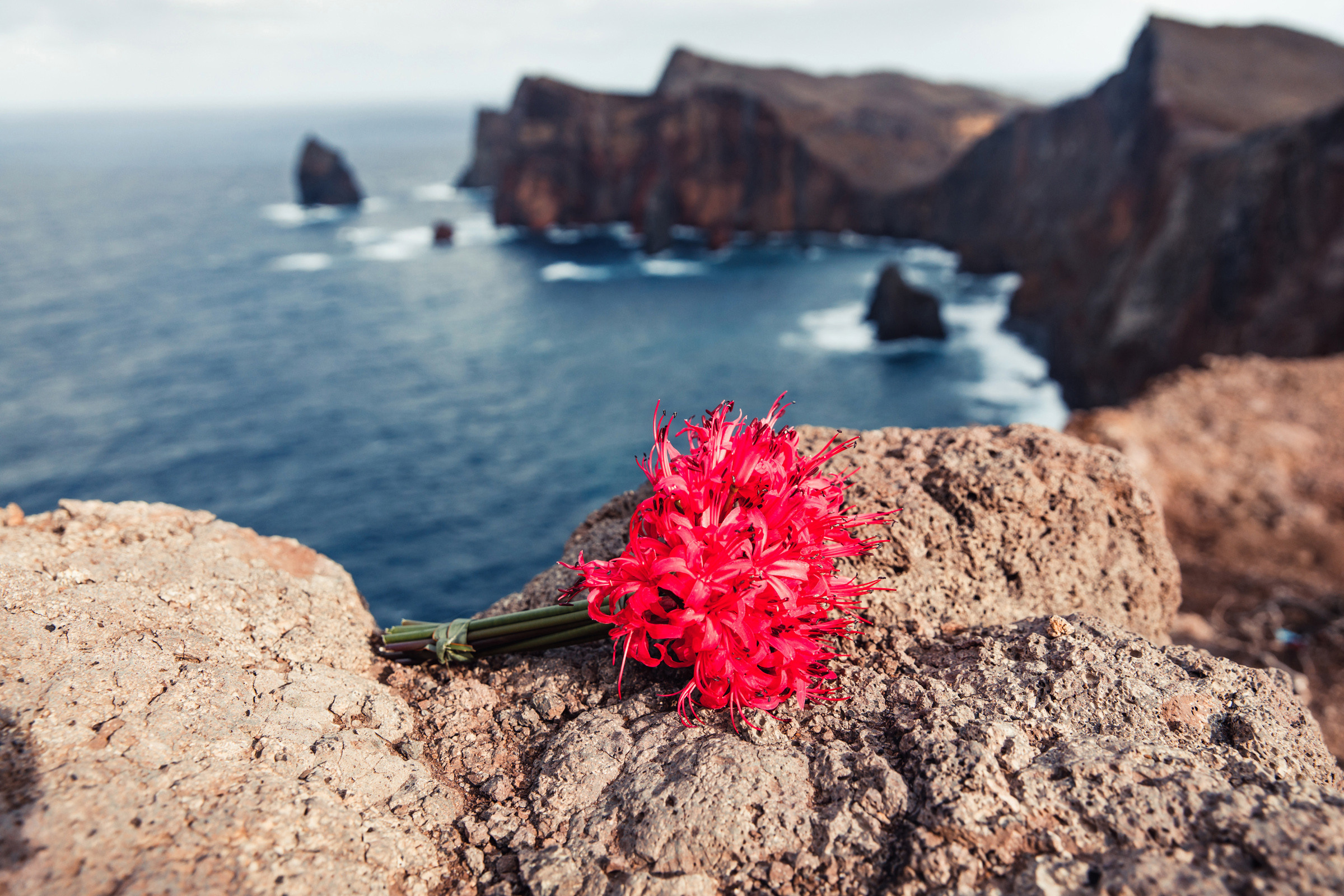 Wedding on the best island in the world. Фотограф Денис Осипов. Мадейра/Красноярск. Работаю с 2006 г. в РФ и ЕС