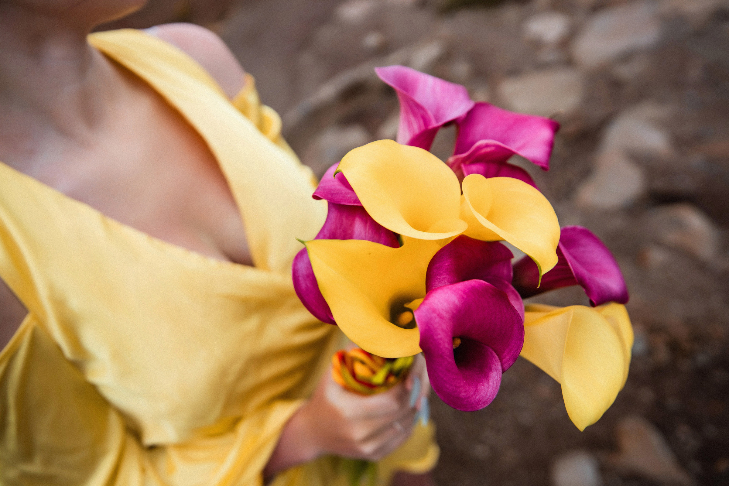 Be mine!. Фотограф Денис Осипов. Мадейра/Красноярск. Работаю с 2006 г. в РФ и ЕС