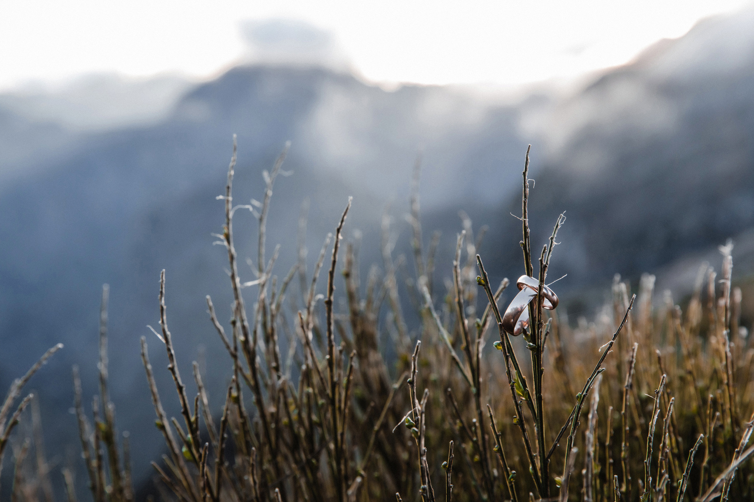 Edgar & Anna. Madeira. Фотограф Денис Осипов. Мадейра/Красноярск. Работаю с 2006 г. в РФ и ЕС