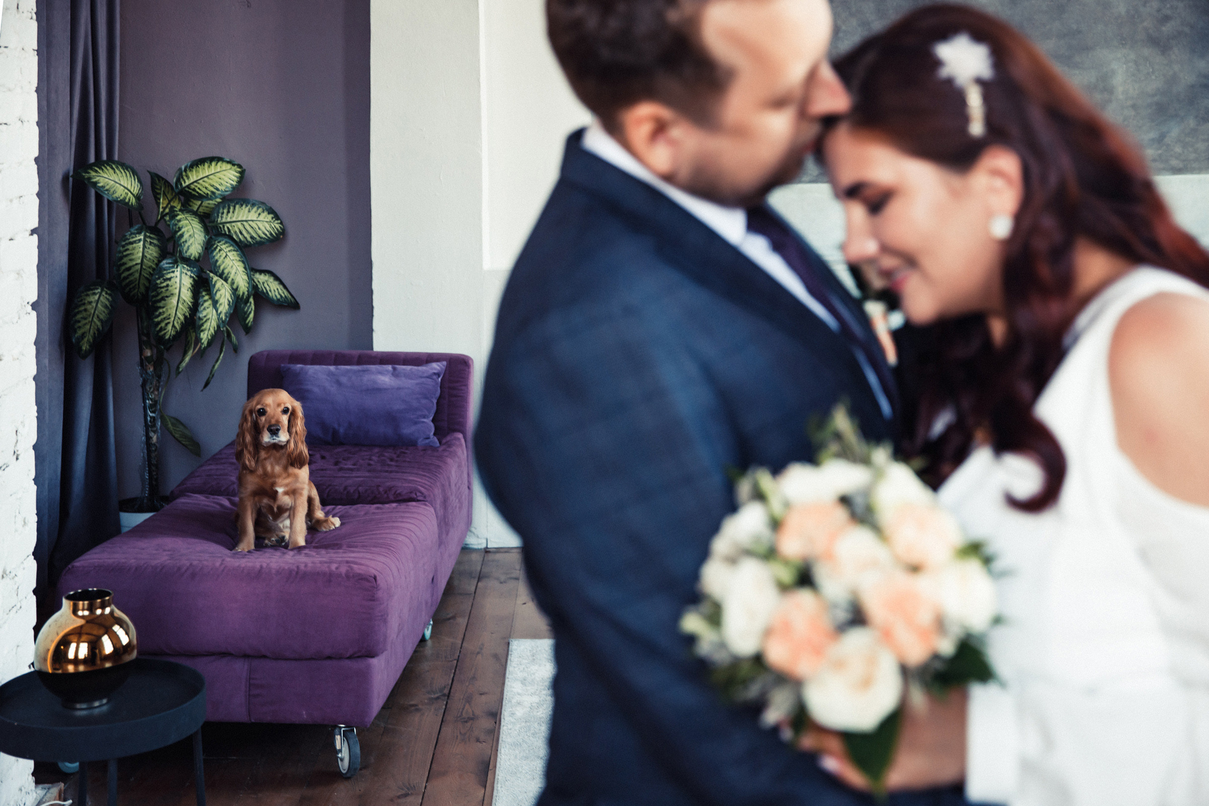 Портфолио. Фотограф Денис Осипов. Мадейра/Красноярск. Работаю с 2006 г. в РФ и ЕС