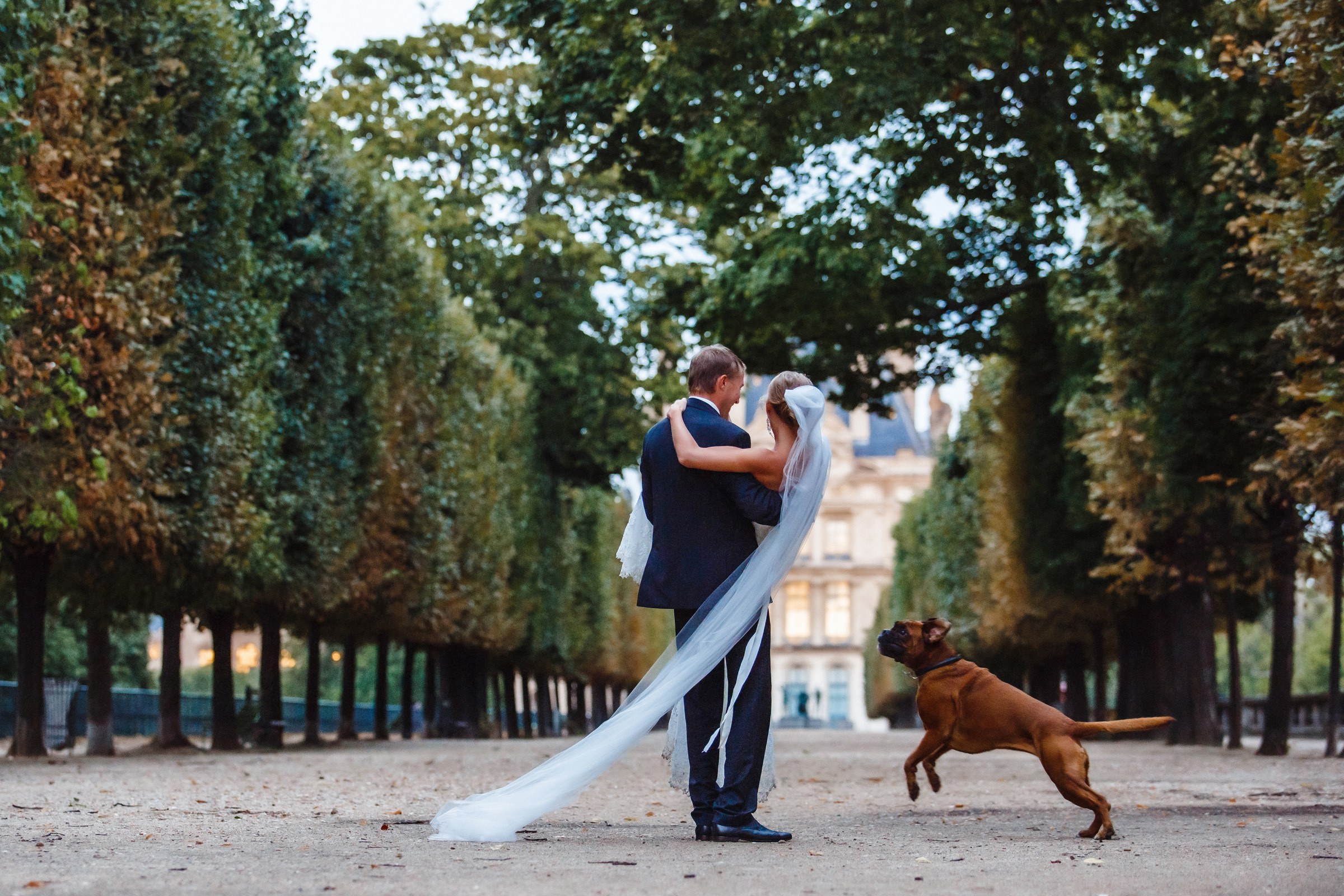 Paris. Фотограф Денис Осипов. Мадейра/Красноярск. Работаю с 2006 г. в РФ и ЕС
