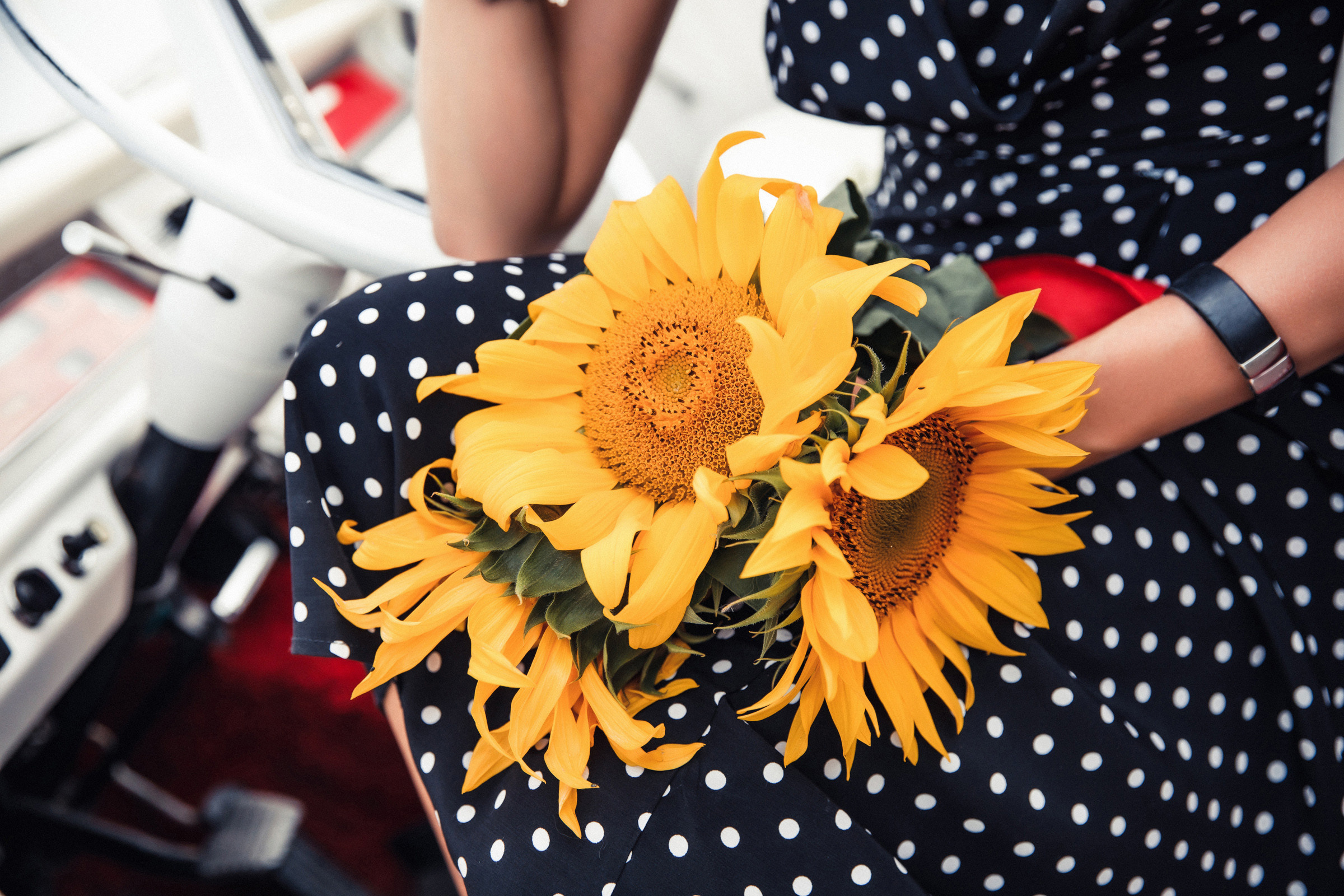 Field, cabriolet «Volga» and love. Главная