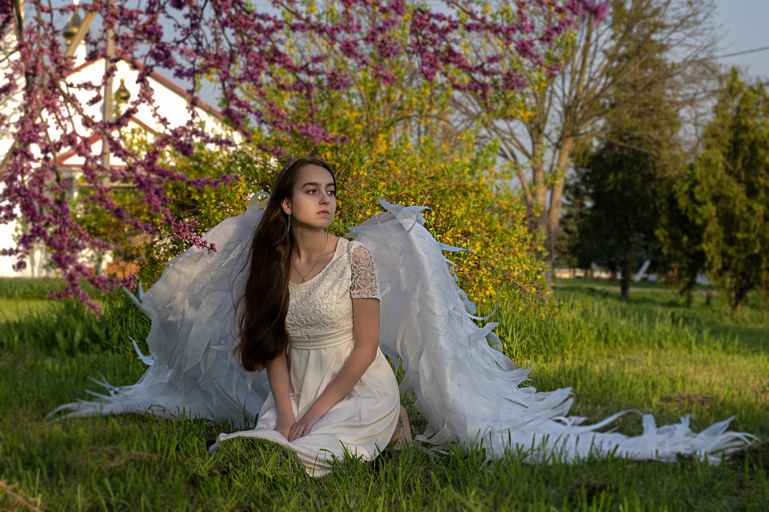 Крылатые истории. Главная