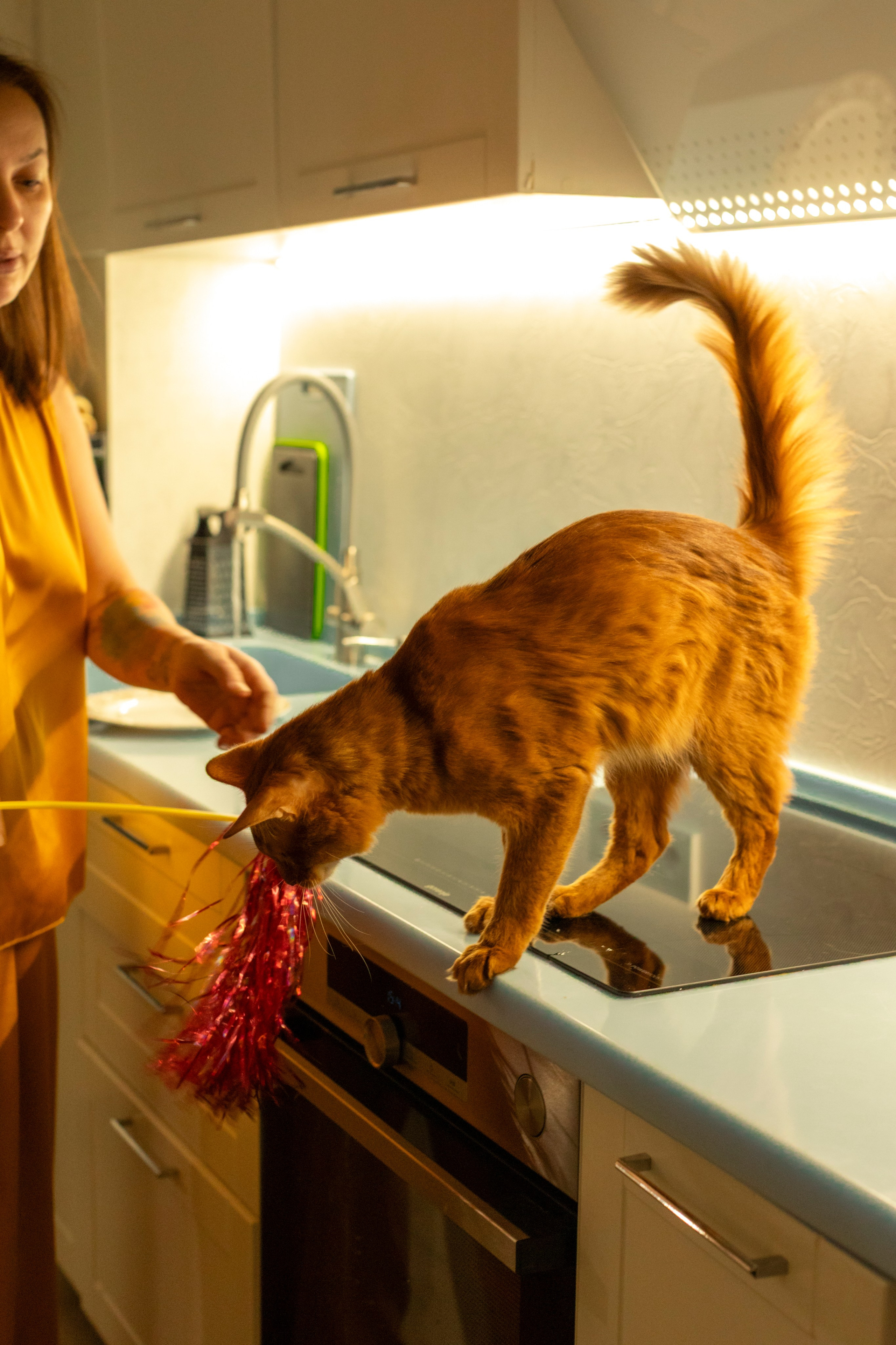 Сомали. Art my Pho