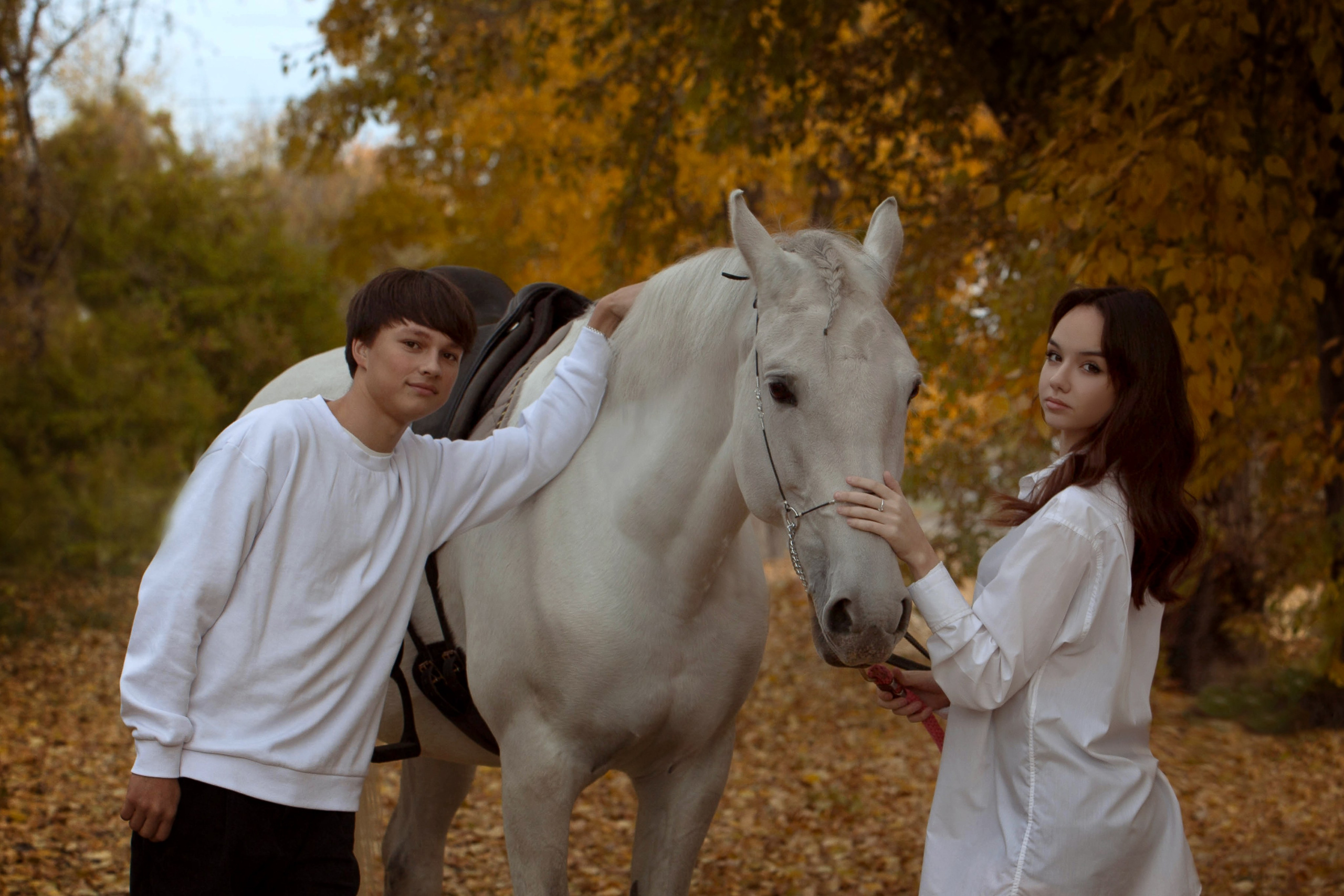 Зина и Пэрис. Конный фотограф в Красноярске — Любовь Похабова