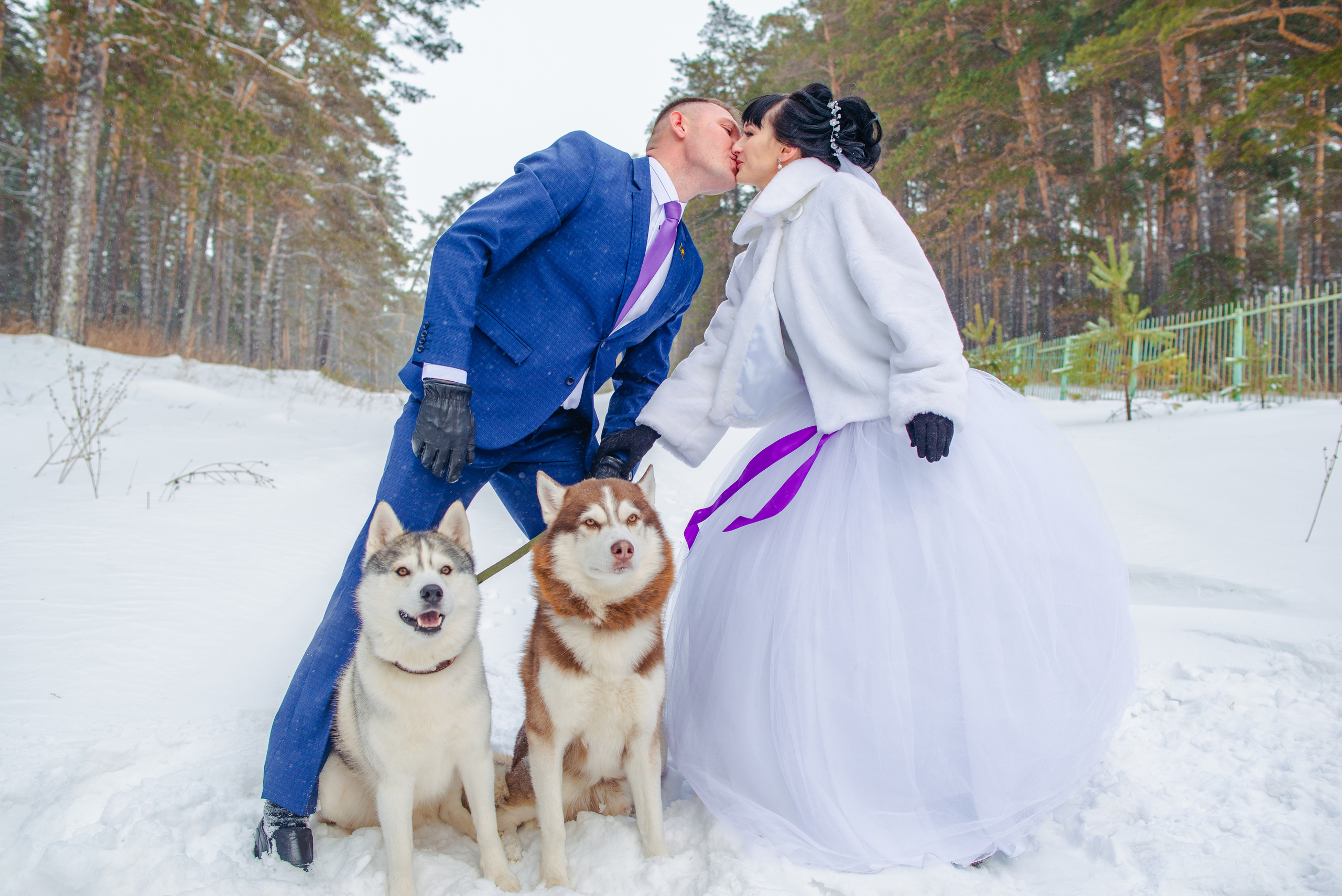 Василий и Татьяна. Свадебный и семейный фотограф в Барнауле Сергей Семакин