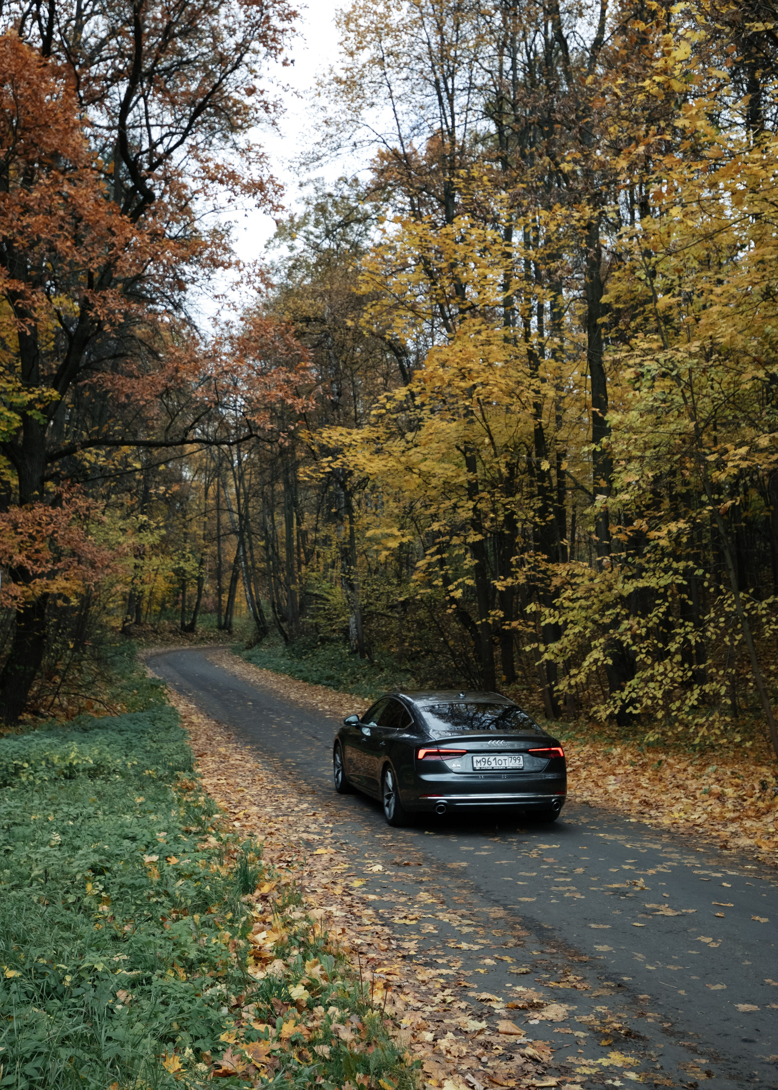 AUDI. Вадим Ветров