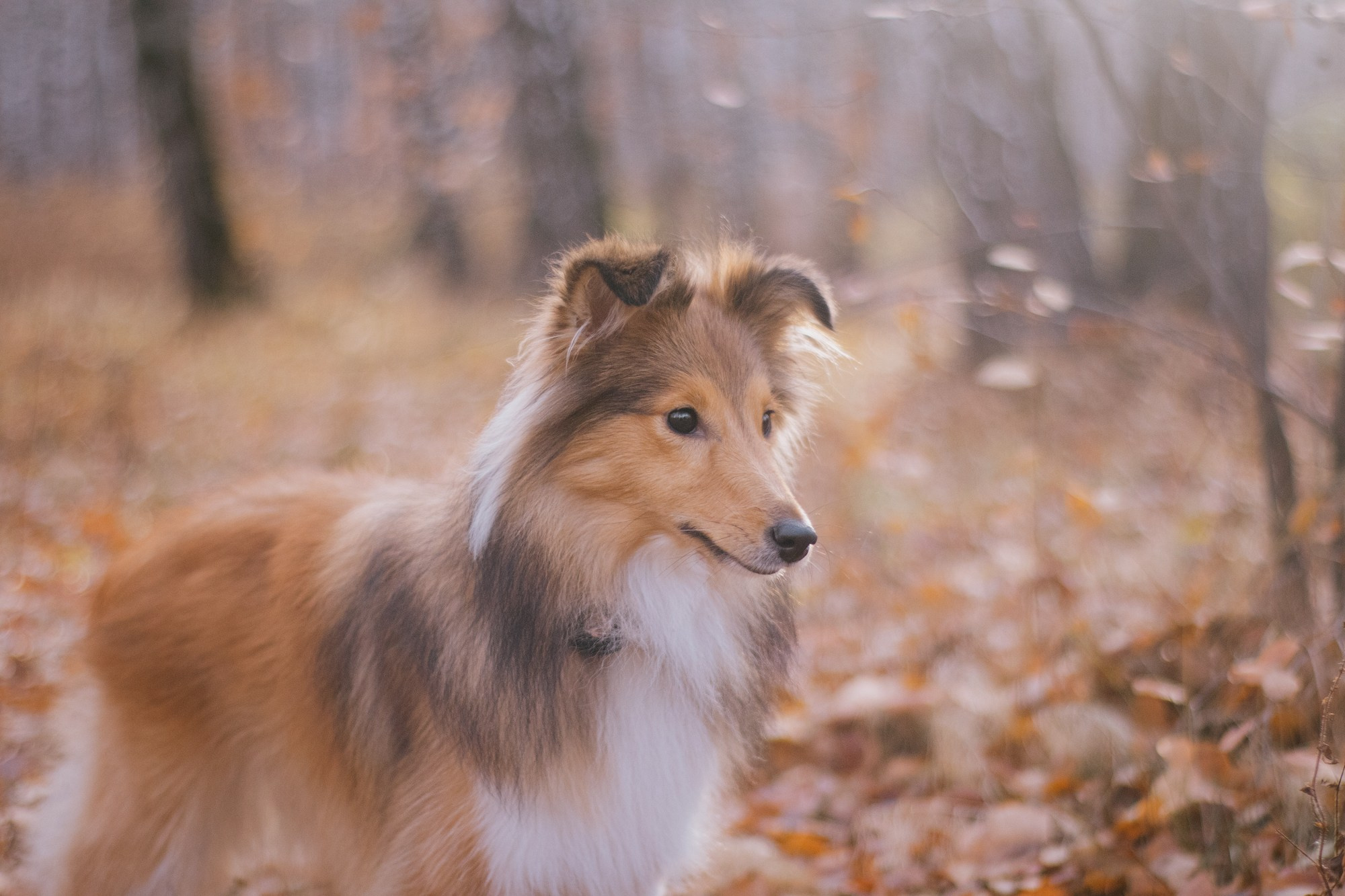 Анна и Габи. Фотограф в Тюмени Лизавета Сапицкая
