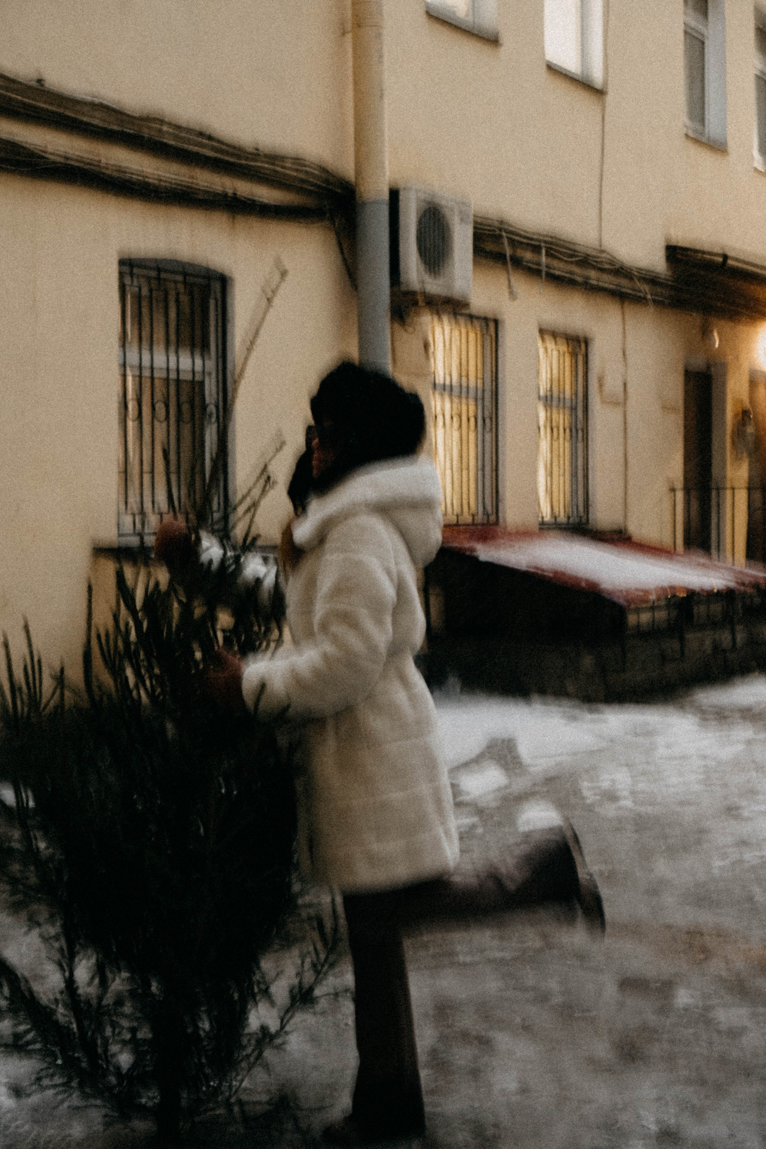 Новогодняя. Профессиональный фотограф, Санкт-Петербург — Виктория Богомолова
