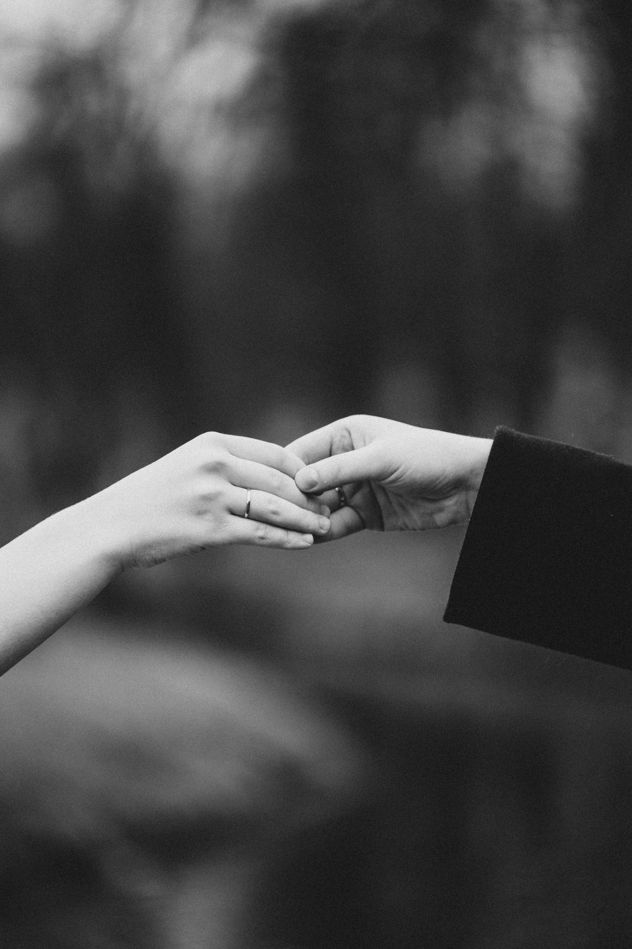 СВАДЕБНАЯ ВО ВТОРОМ ДВОРЦЕ И ПРОГУЛКА В ТАВРИЧЕСКОМ САДУ ЧБ. Профессиональный фотограф, Санкт-Петербург — Виктория Богомолова