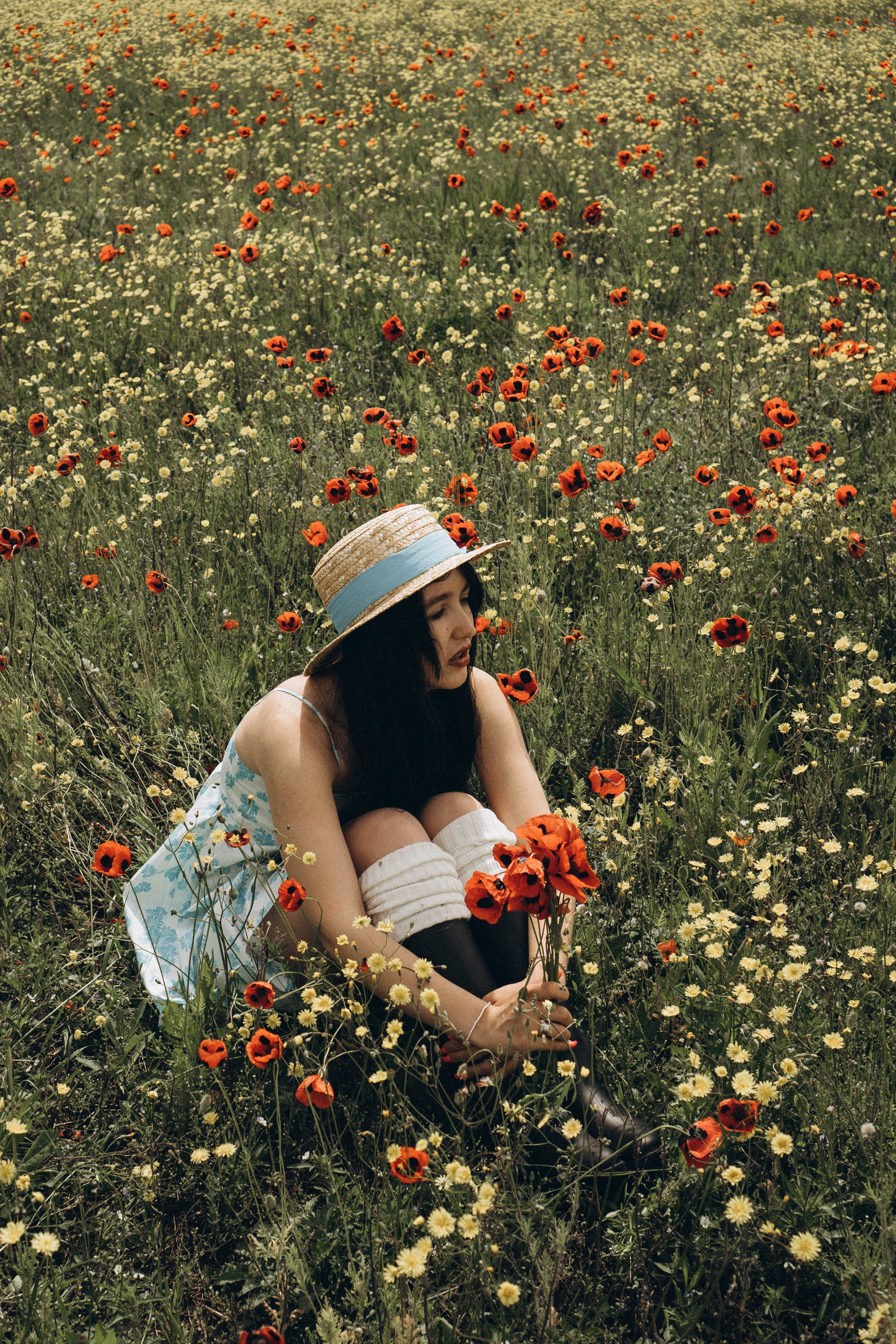 Цветочная поляна. Профессиональный фотограф, Санкт-Петербург — Виктория Богомолова