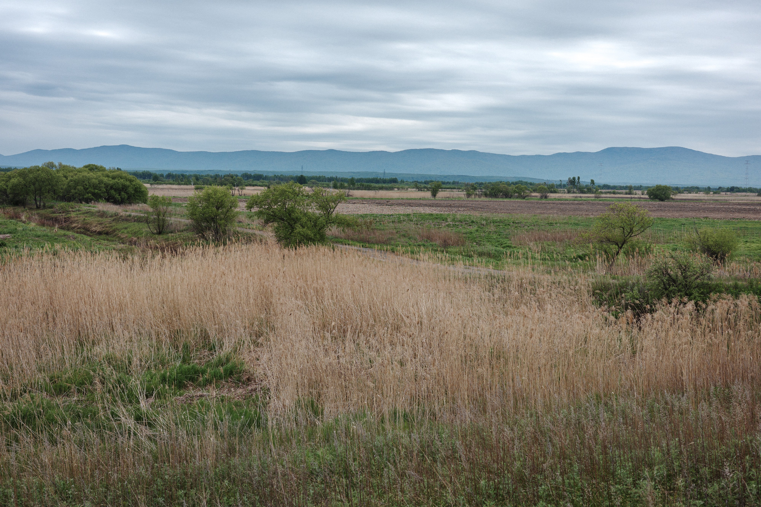 С Димой Уссурийский остров. Фото журналист
