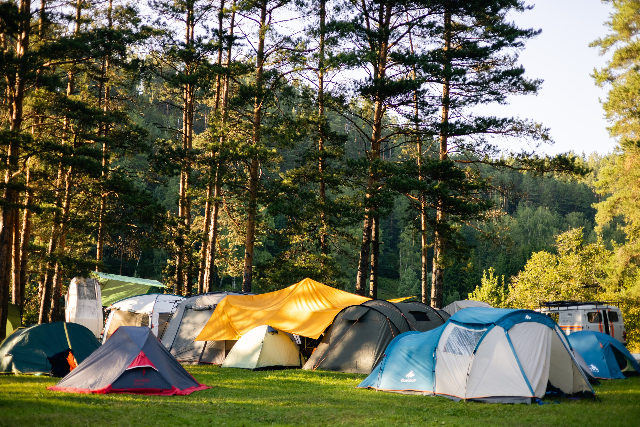 VI ОТКРЫТЫЕ КИНОЛОГИЧЕСКИЕ СОРЕВНОВАНИЯ. ЧЕЛЯБИНСКАЯ ОБЛАСТЬ 2025. Репортажный фотограф Наталья Лапцевич