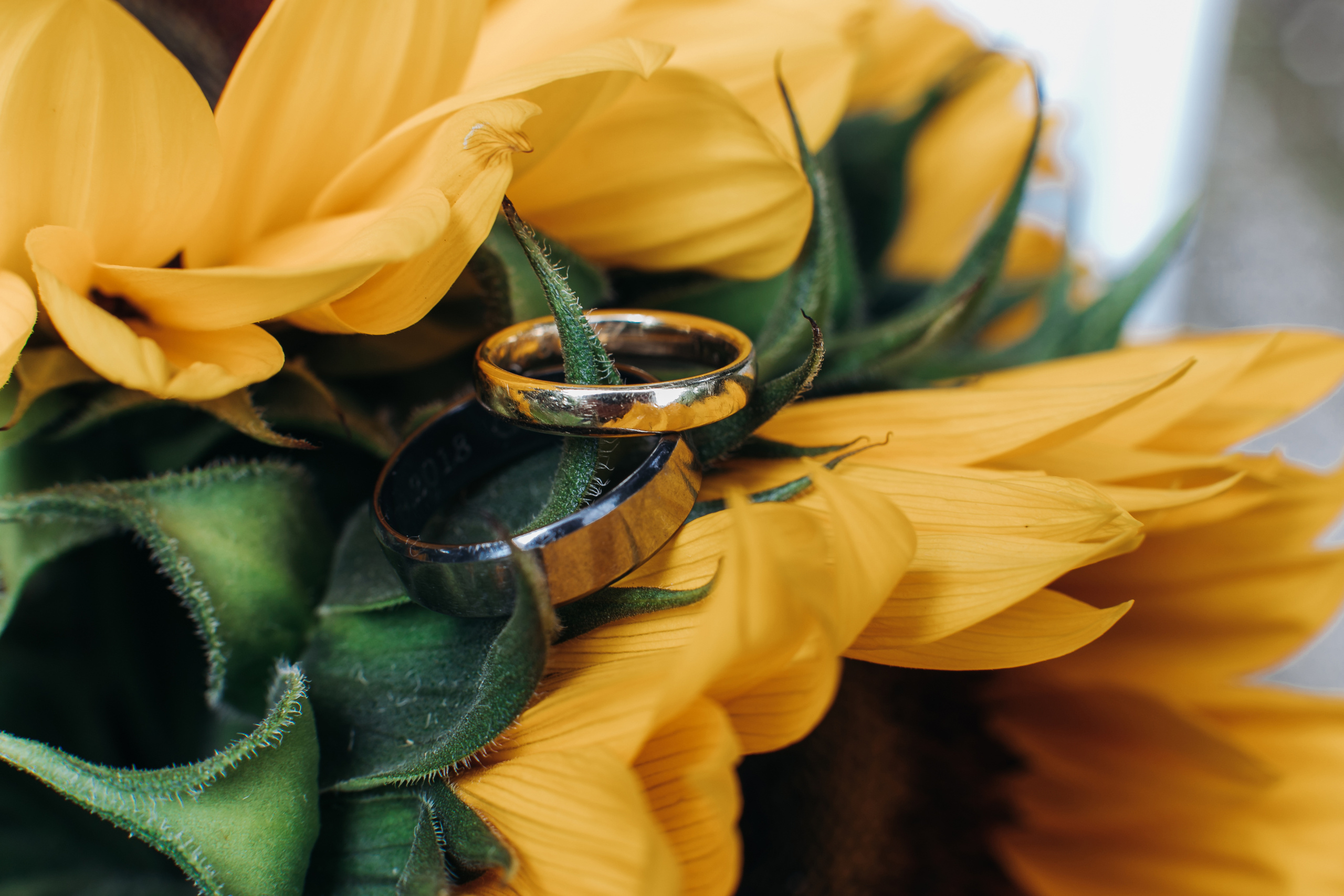 Wedding photographer in Tbilisi & Saint-Petersburg (Spb). Destination wedding photographer Peter Letu