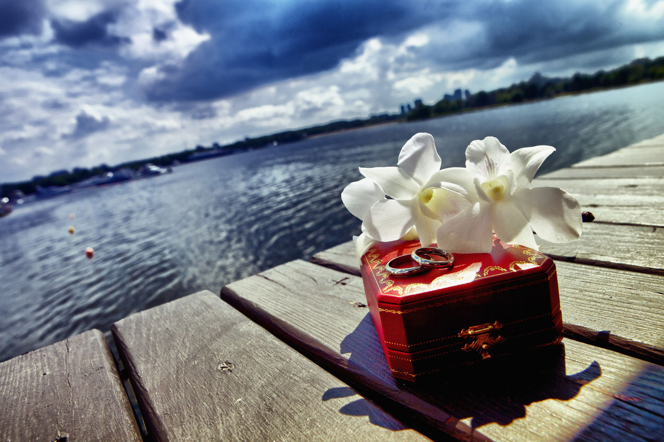 Свадьбы. Фотограф Алексей Архангельский