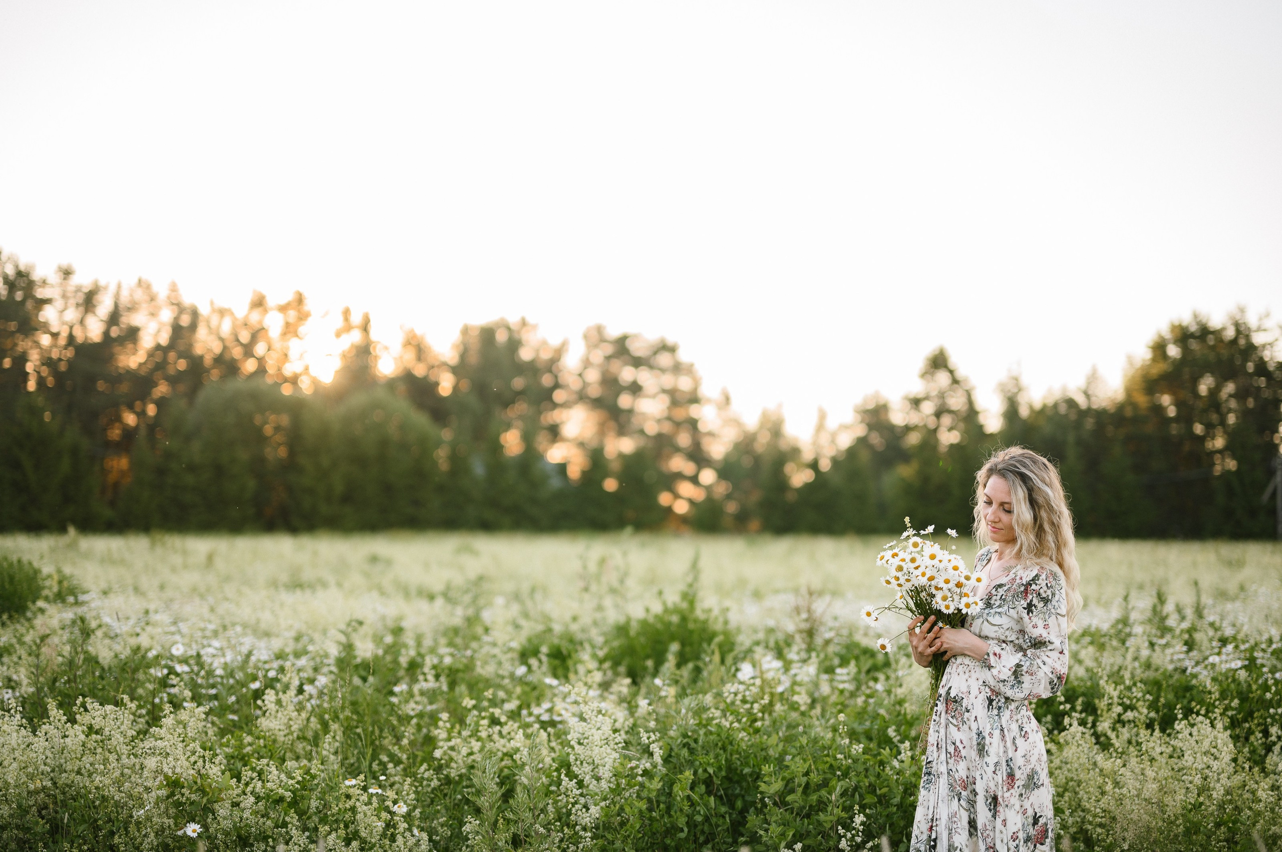 Съёмка в цветущем ромашковом поле. Semerlina.ru