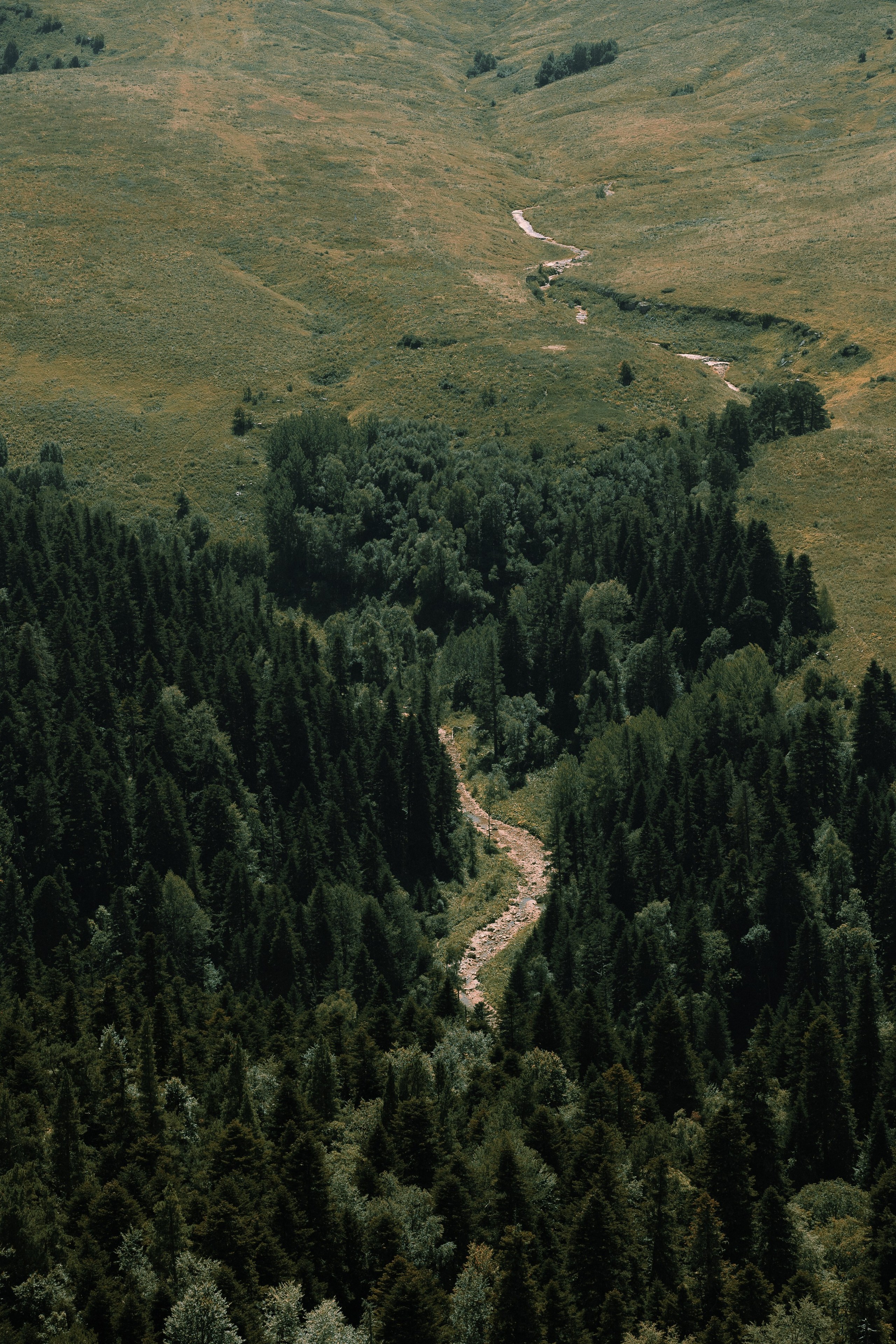 VK МЕСТА АДЫГЕЯ. Концертный и репортажный фотограф в Москве и Санкт-Петербурге Мария