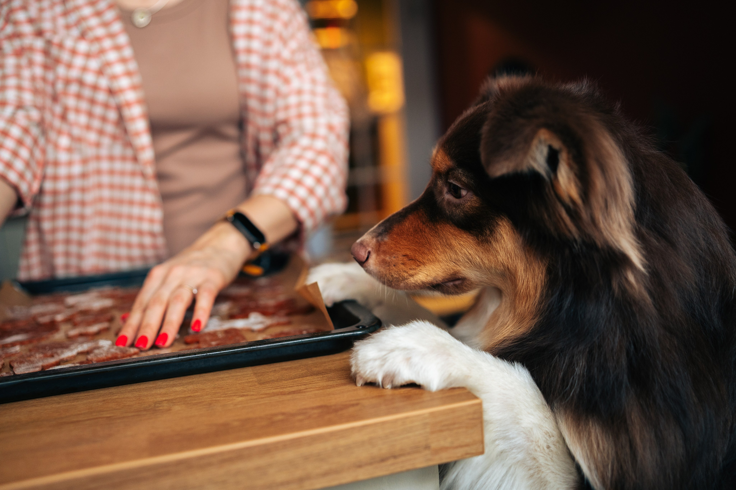 Радость. Фотограф Екатерина Канчалаба