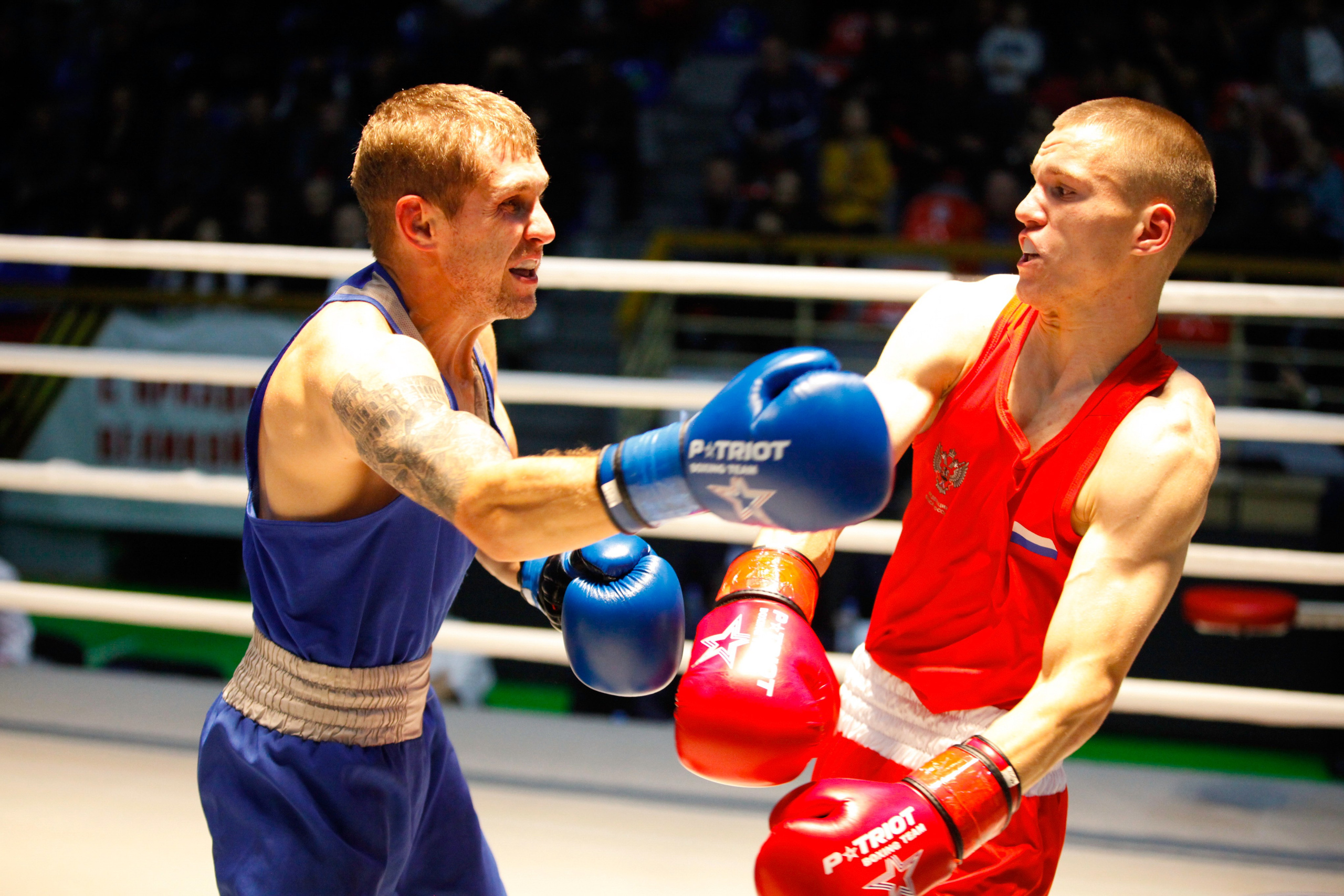 БОКС. Фото. Спортивный фотограф, трансляция, звук и свет в Новосибирске