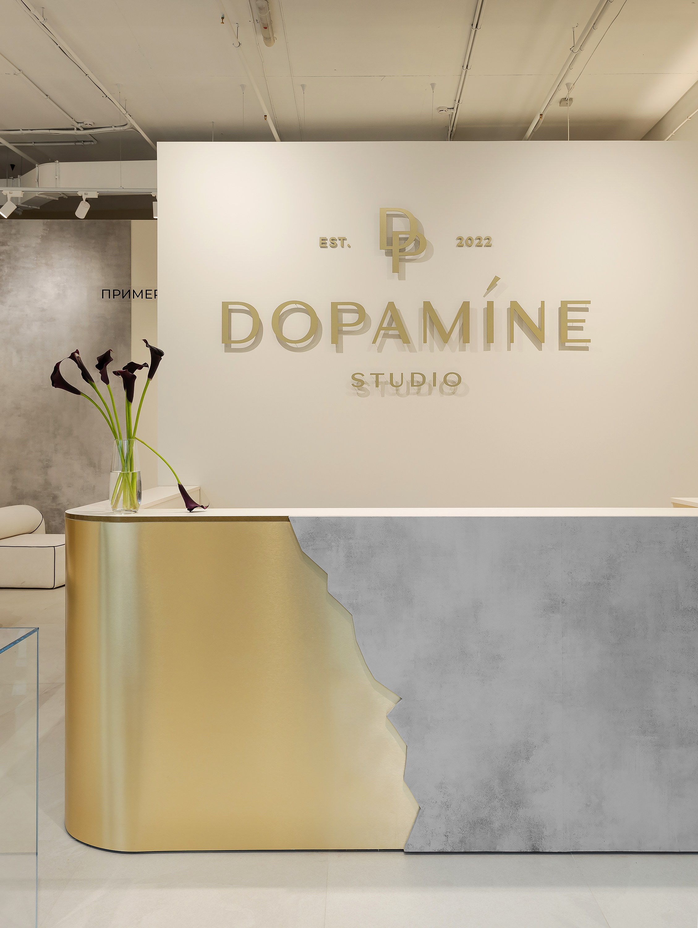 Интерьерный фотограф Виталина Ворошкевич