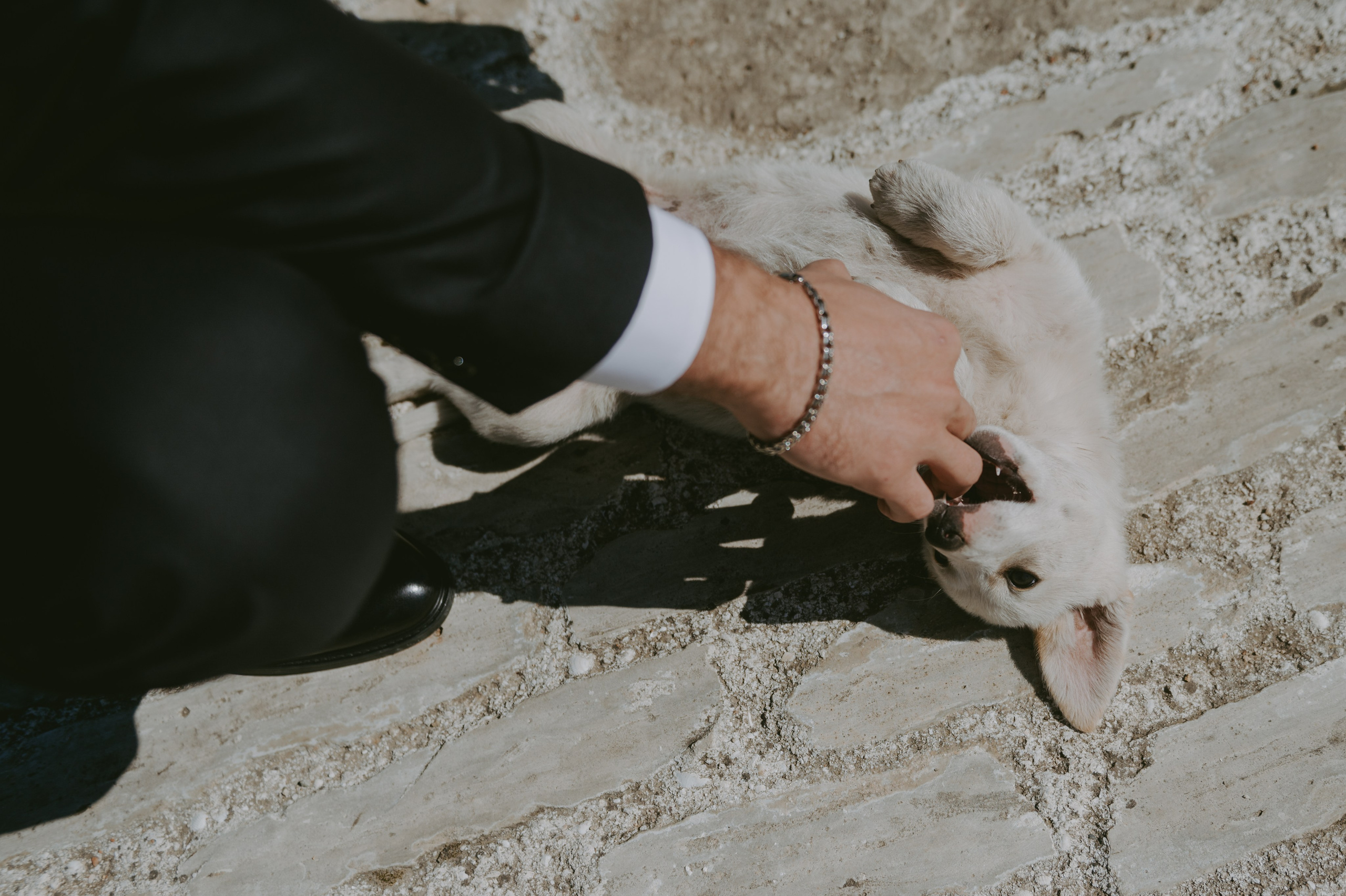 Елизавета$Дмитрий. Свадебный и семейный фотограф город Темрюк Фотостудия Темрюк
