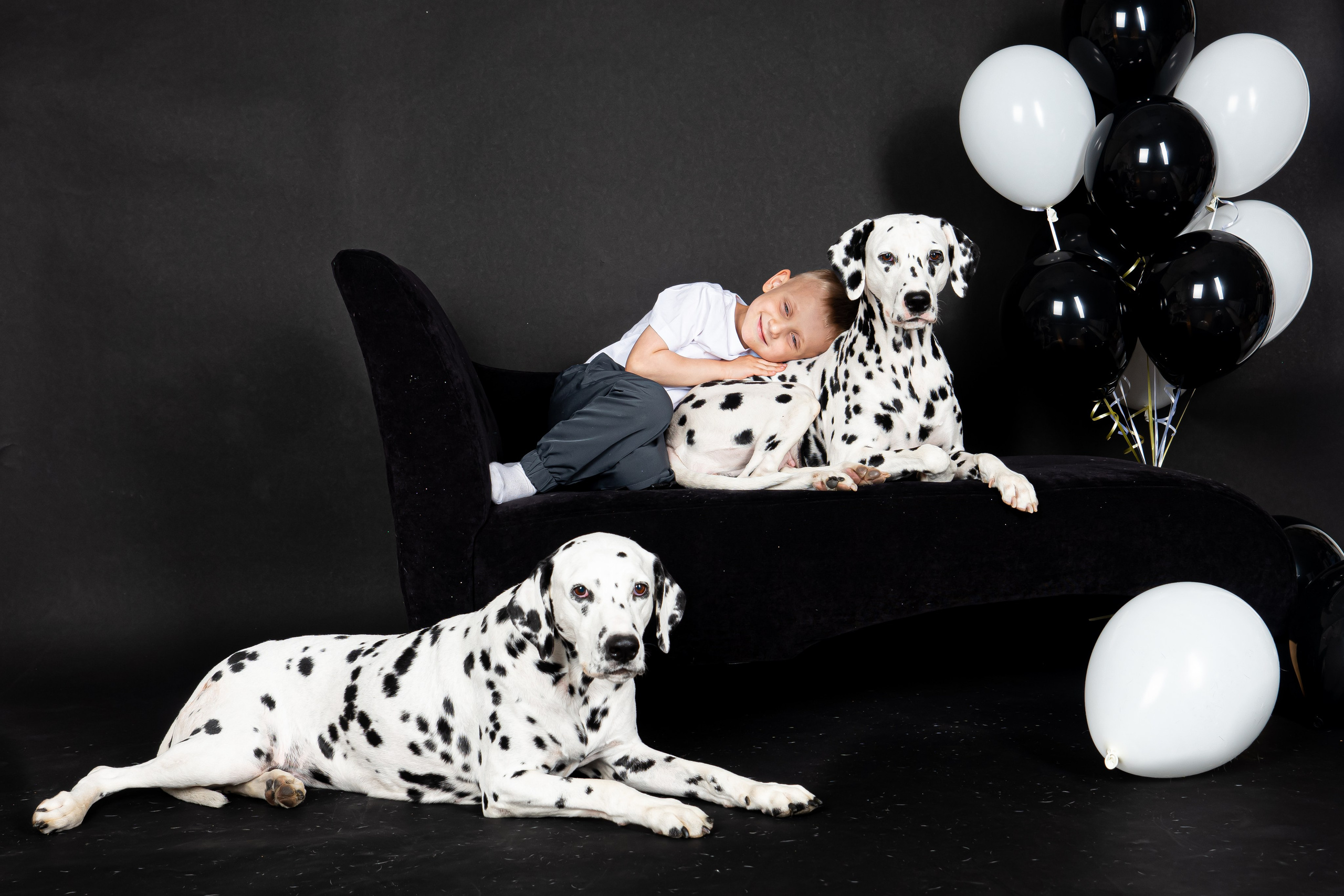 Далматины 2024. Фотограф на Камчатке Анна Моргачёва. Семейные и детские съёмки