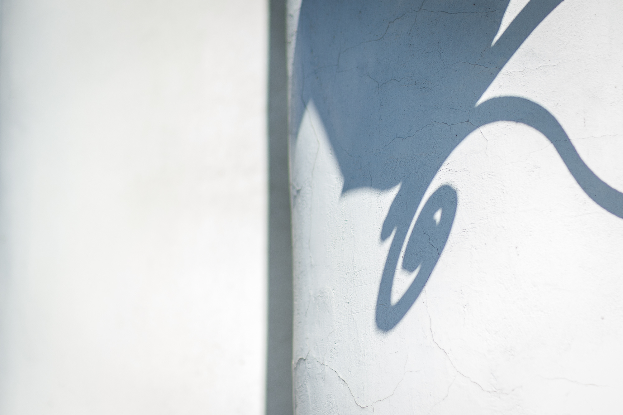 ЮЛИЯ + АНДРЕЙ. Фотограф Дмитрий Грант