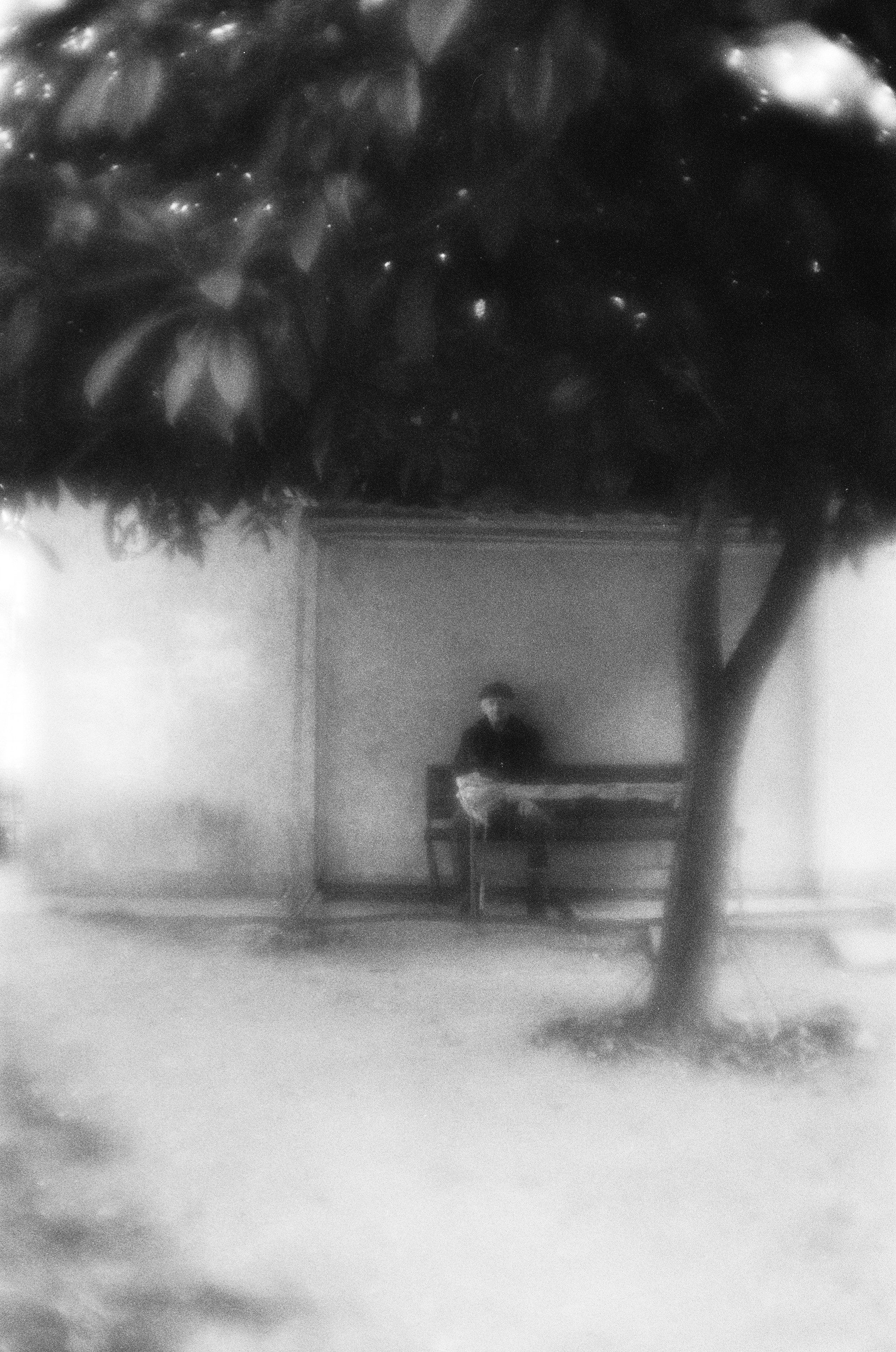 Photo Portfolio. Morskyakanulavmorya