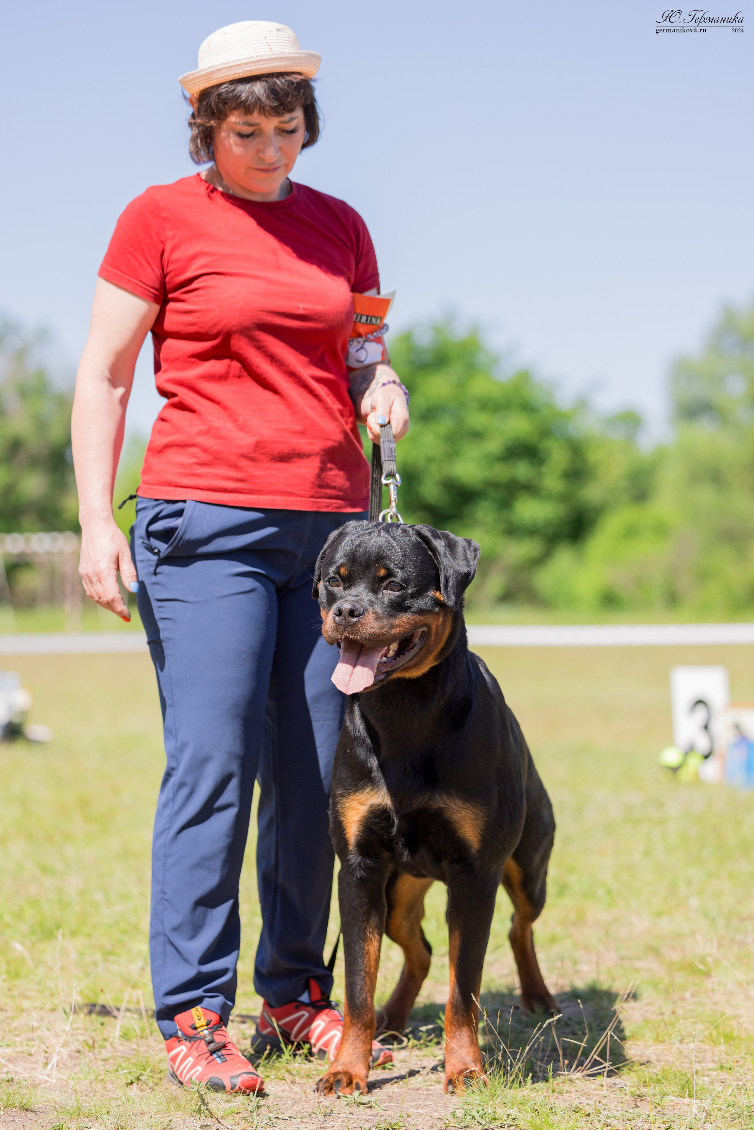 Воронеж моно ротвейлеров 25-26.05.2024. Фотограф-анималист Юлия Германика