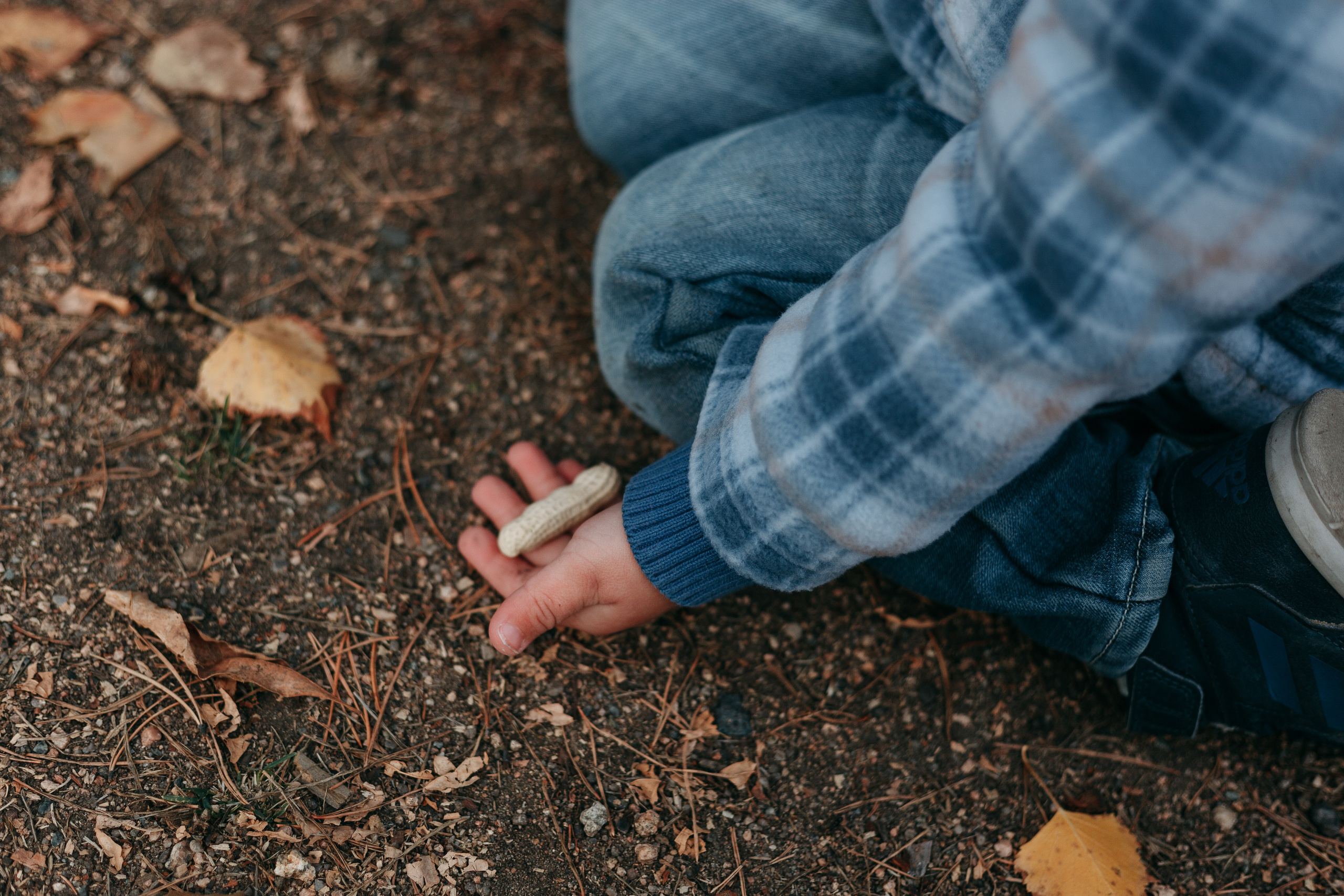 Тимоша, осенняя прогулка. Фотограф семейной и индивидуальной съемки Марина Севостьянова в Челябинске