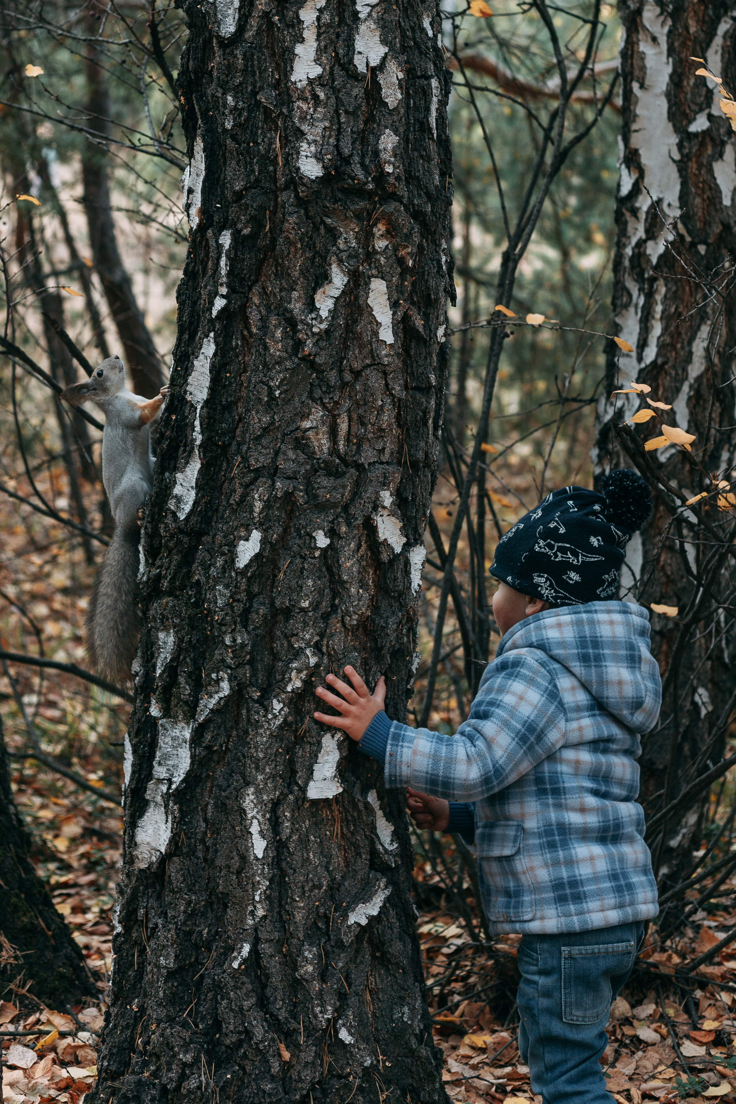 Тимоша, осенняя прогулка. Фотограф семейной и индивидуальной съемки Марина Севостьянова в Челябинске