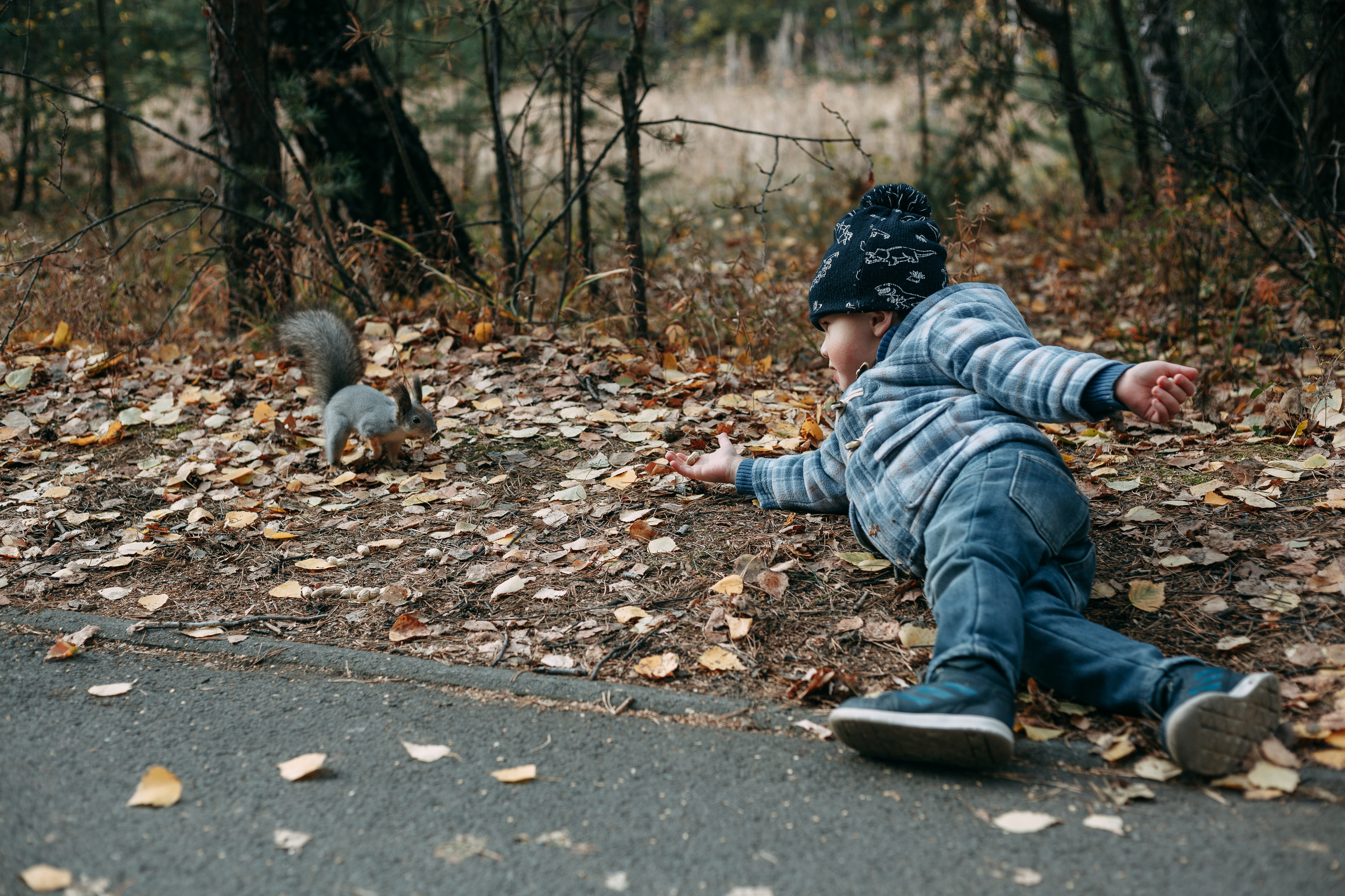 Тимоша, осенняя прогулка. Фотограф семейной и индивидуальной съемки Марина Севостьянова в Челябинске