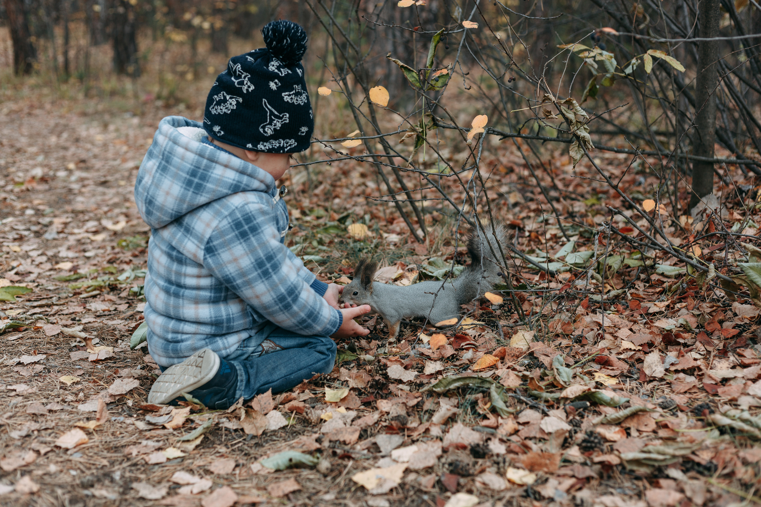 Тимоша, осенняя прогулка. Фотограф семейной и индивидуальной съемки Марина Севостьянова в Челябинске