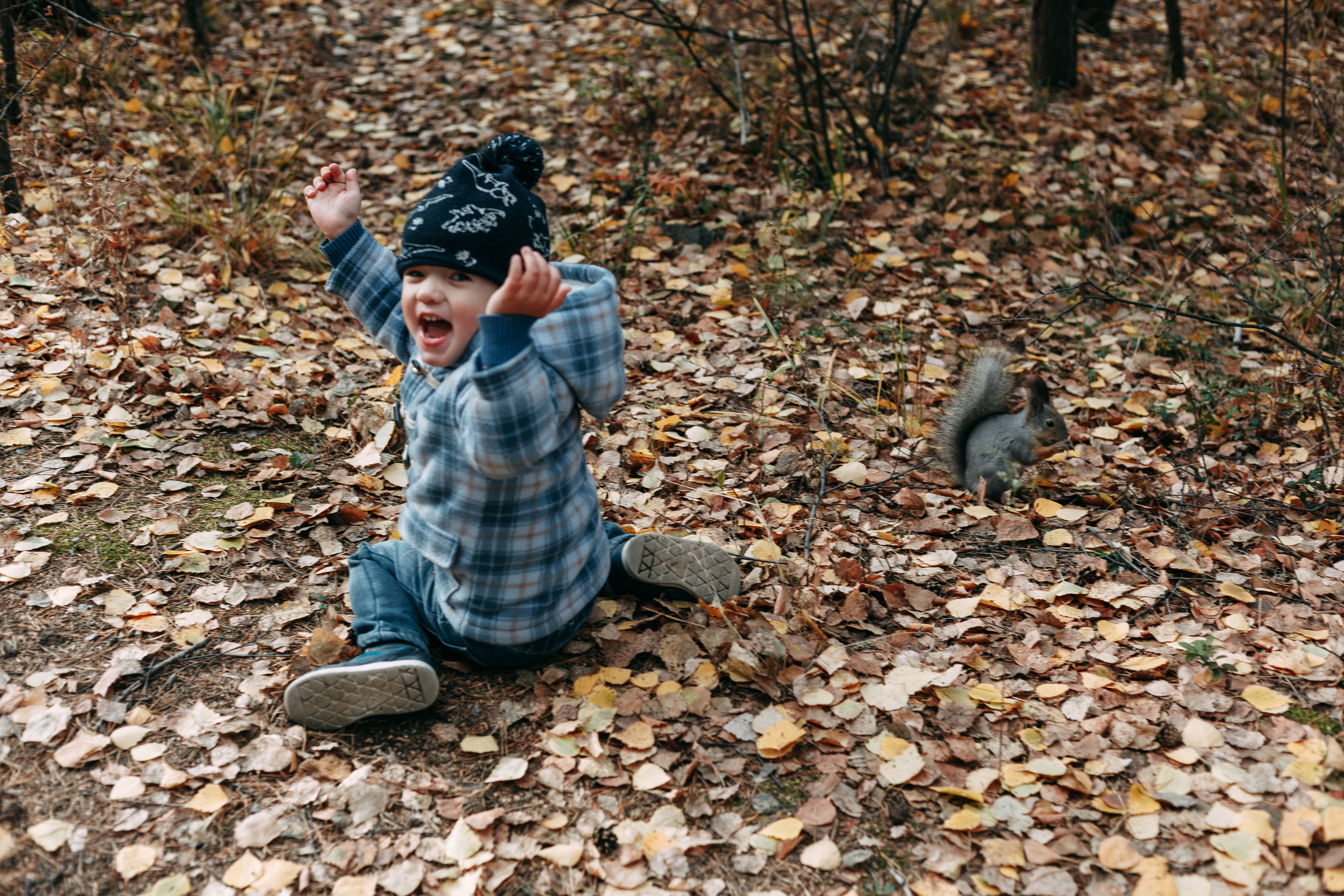 Тимоша, осенняя прогулка. Фотограф семейной и индивидуальной съемки Марина Севостьянова в Челябинске