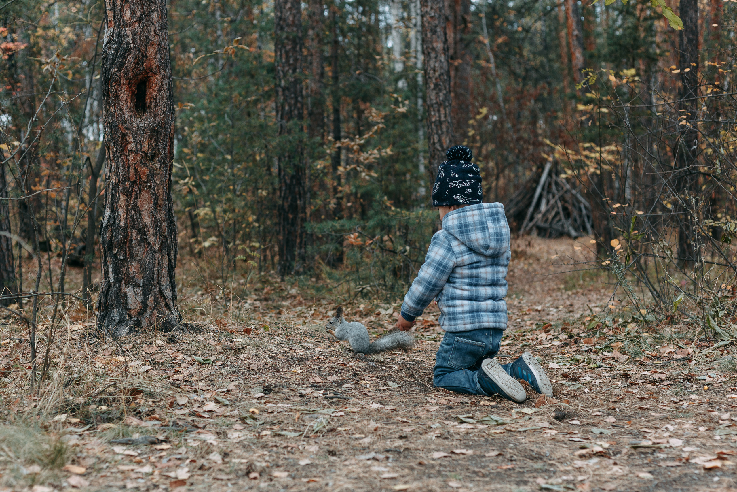 Тимоша, осенняя прогулка. Фотограф семейной и индивидуальной съемки Марина Севостьянова в Челябинске