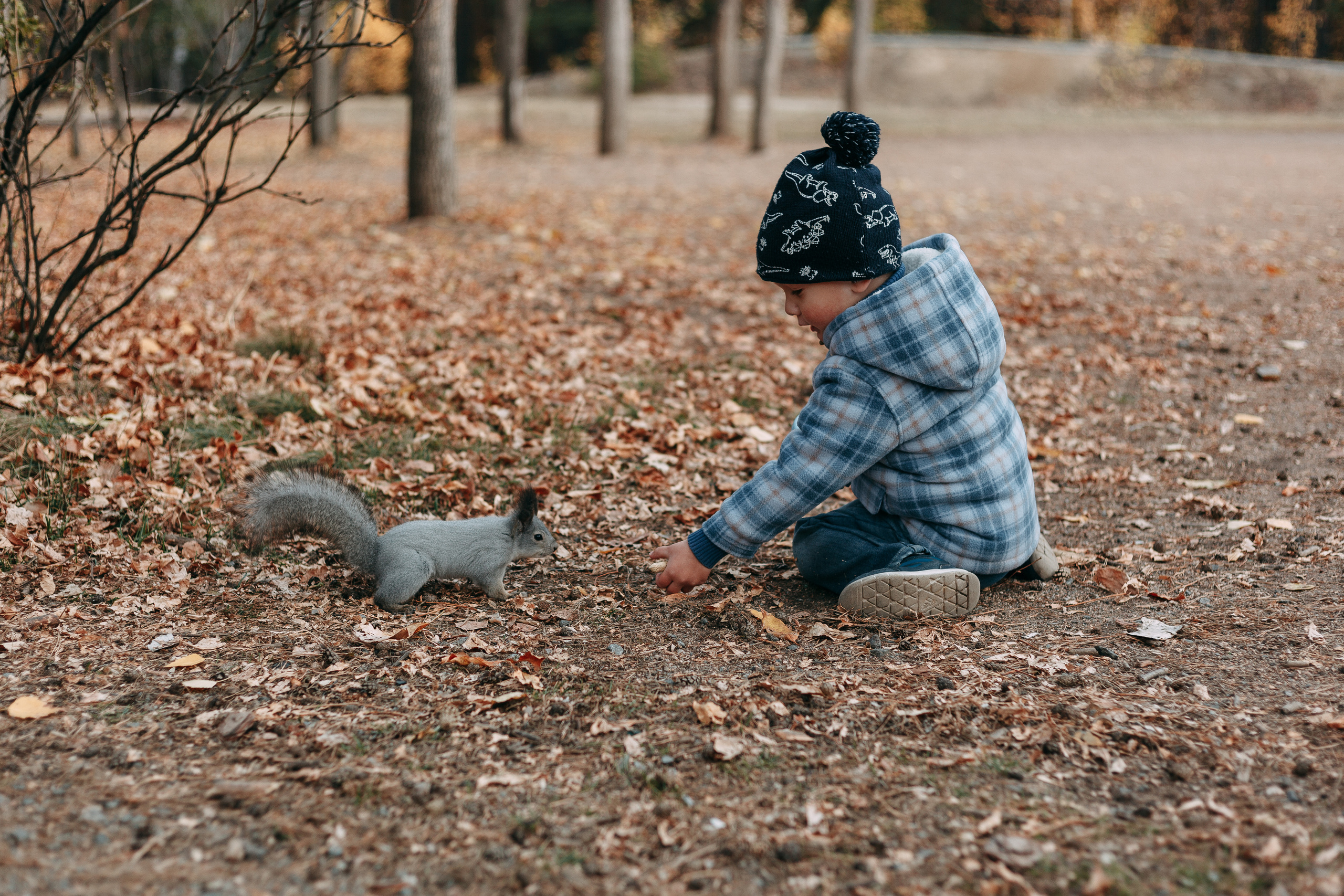Тимоша, осенняя прогулка. Фотограф семейной и индивидуальной съемки Марина Севостьянова в Челябинске