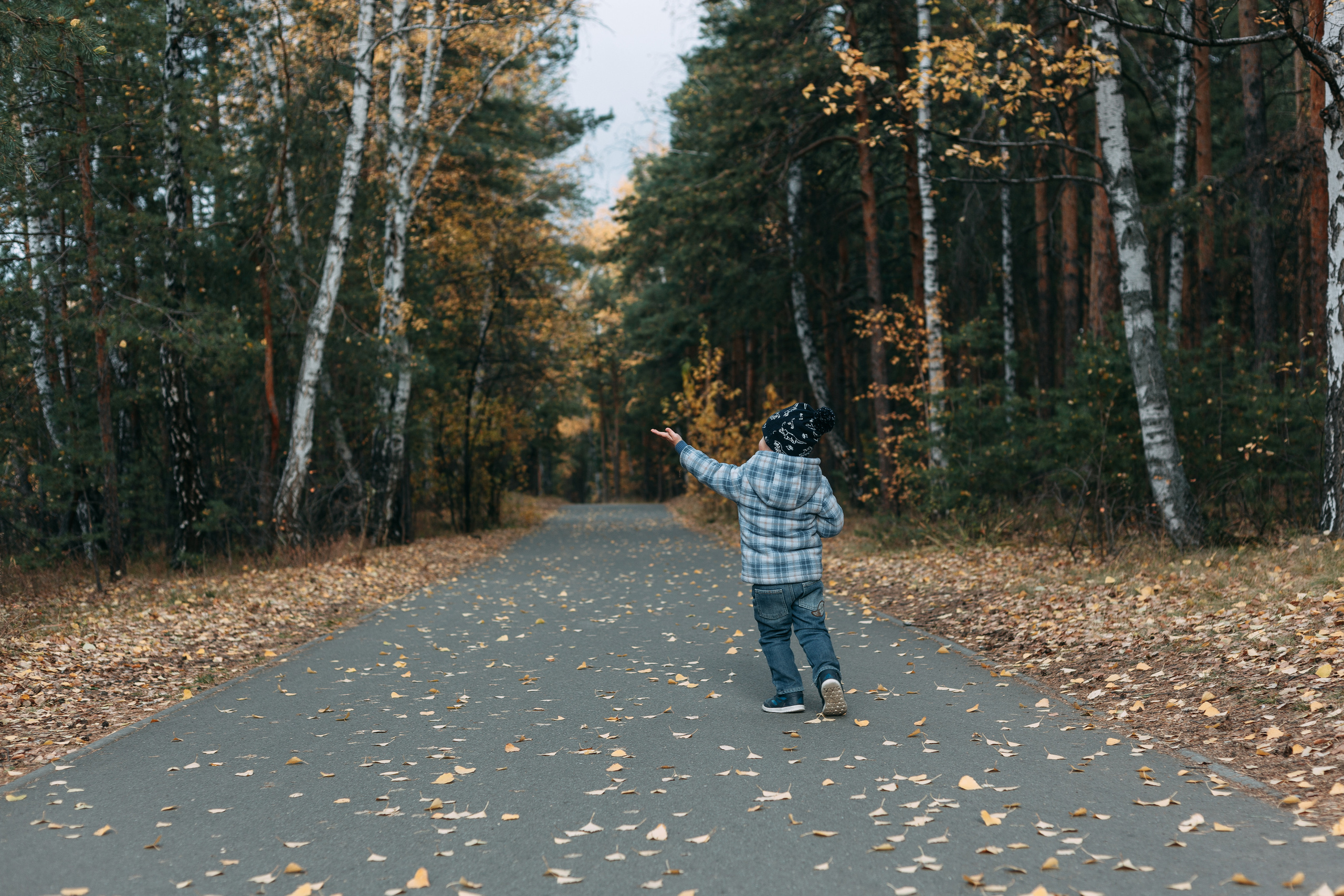 Тимоша, осенняя прогулка. Фотограф семейной и индивидуальной съемки Марина Севостьянова в Челябинске