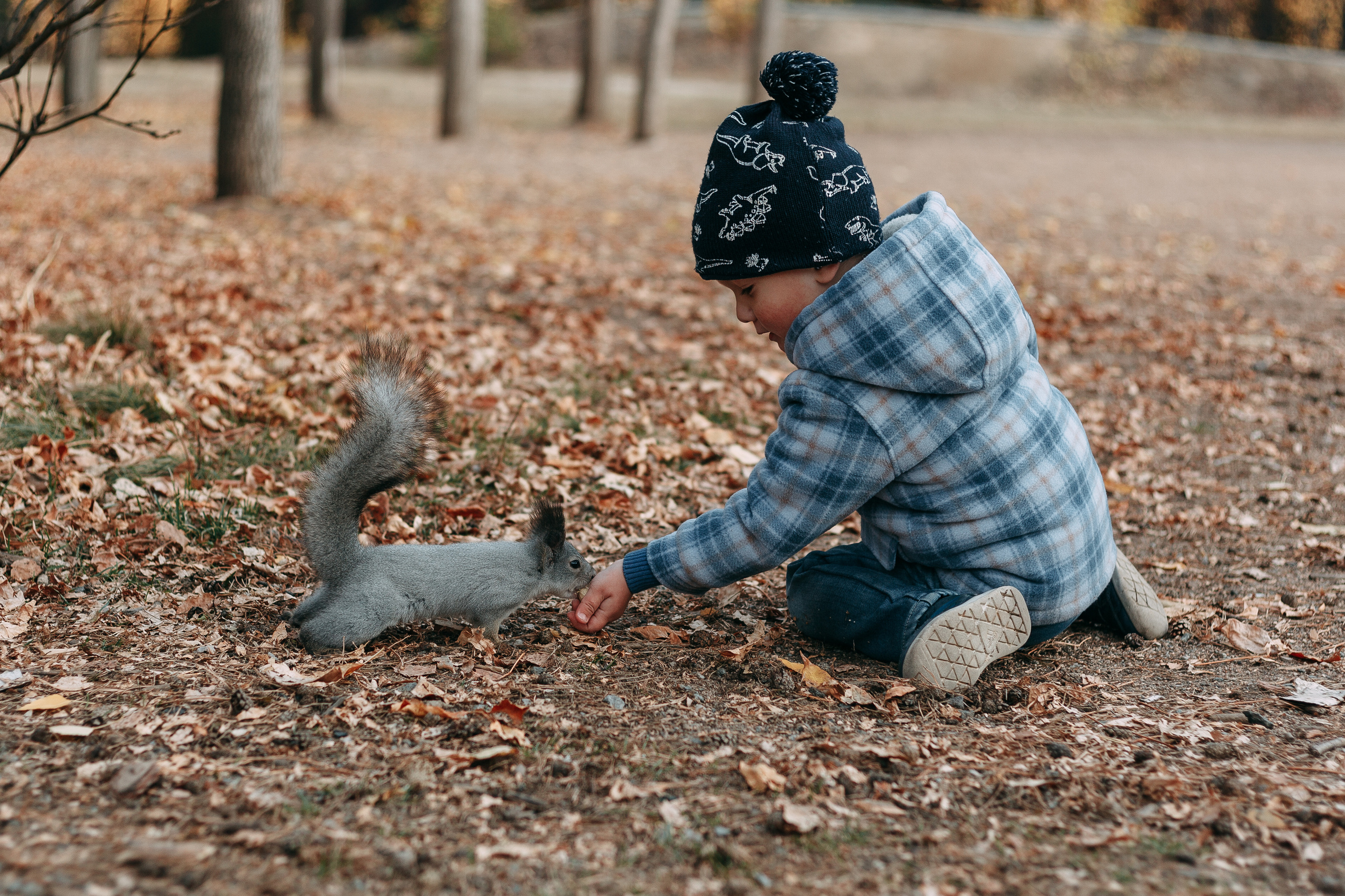 Тимоша, осенняя прогулка. Фотограф семейной и индивидуальной съемки Марина Севостьянова в Челябинске