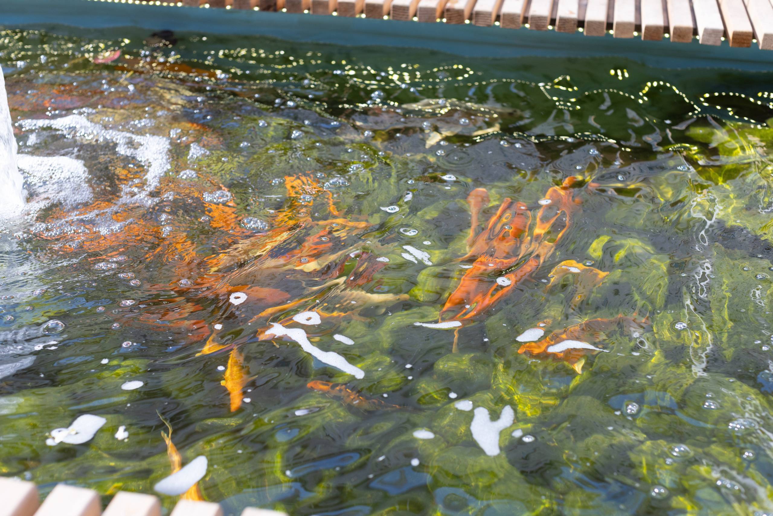 Фото Москвы. Студия Максима Белослюдцева