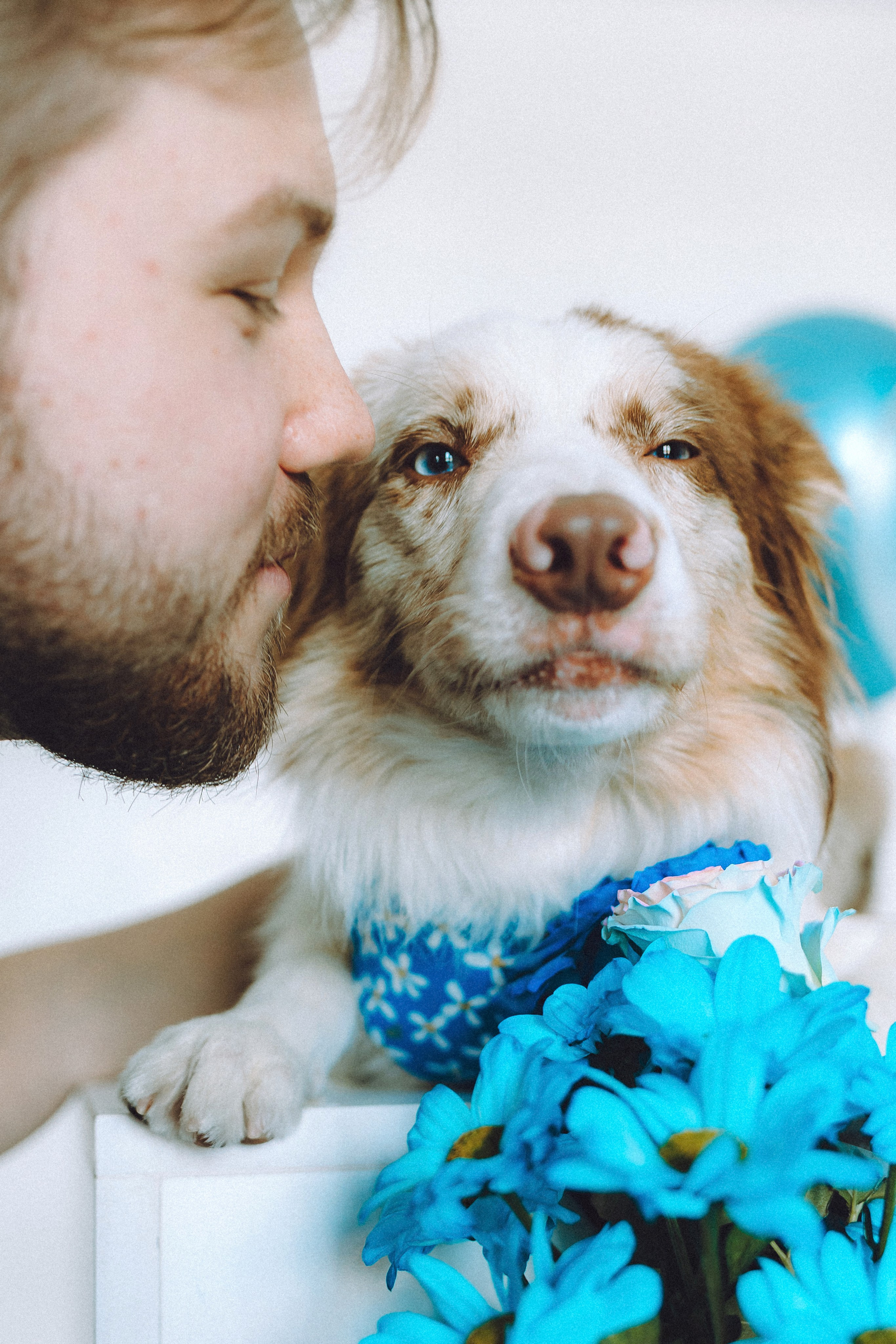 День рождения Айко