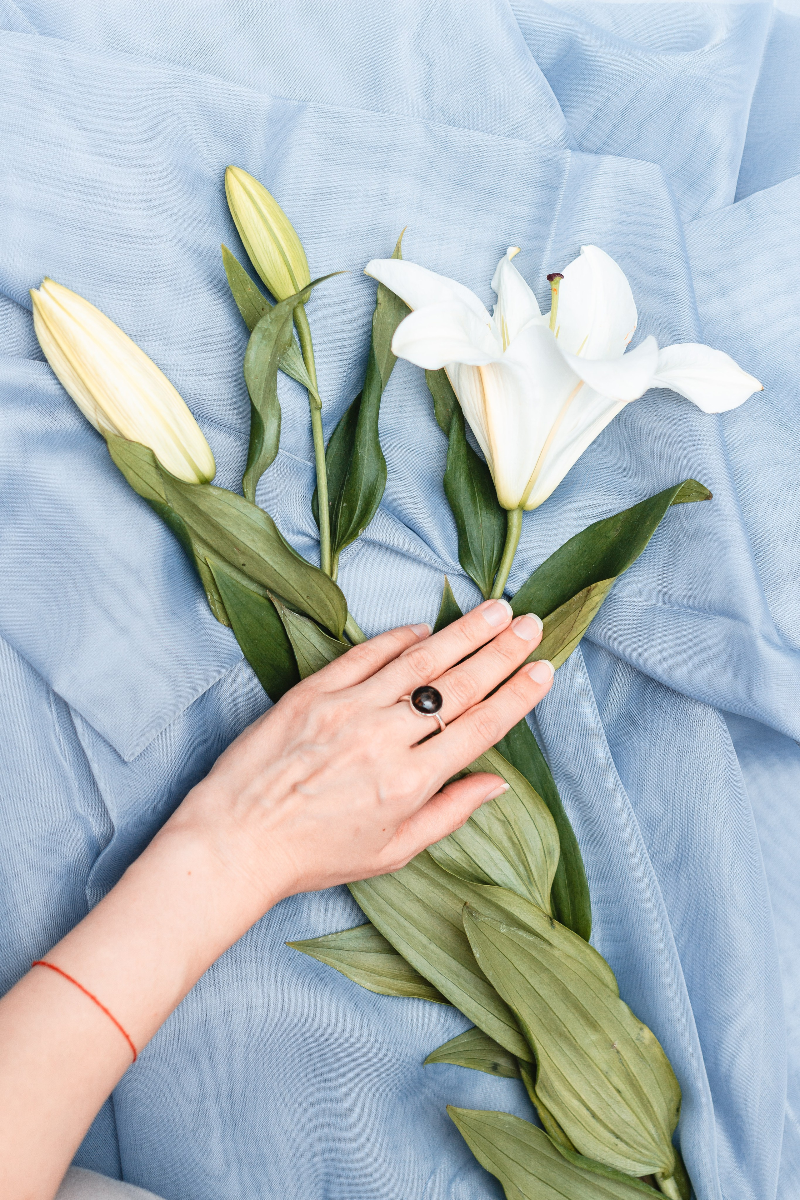 Предметка. Видеограф Добромыслов