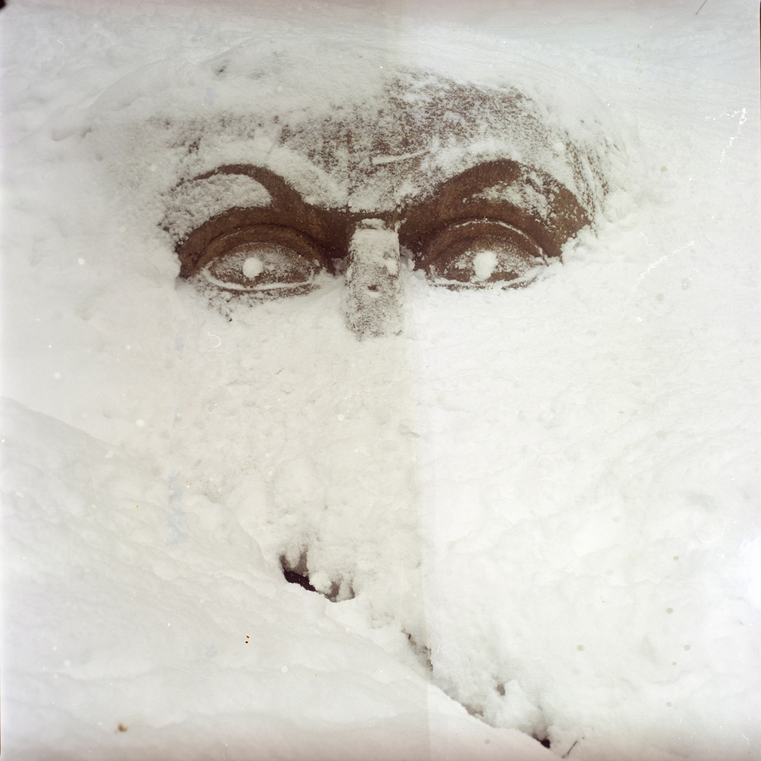 Rotten apple (ongoing). Lisa Mukhina