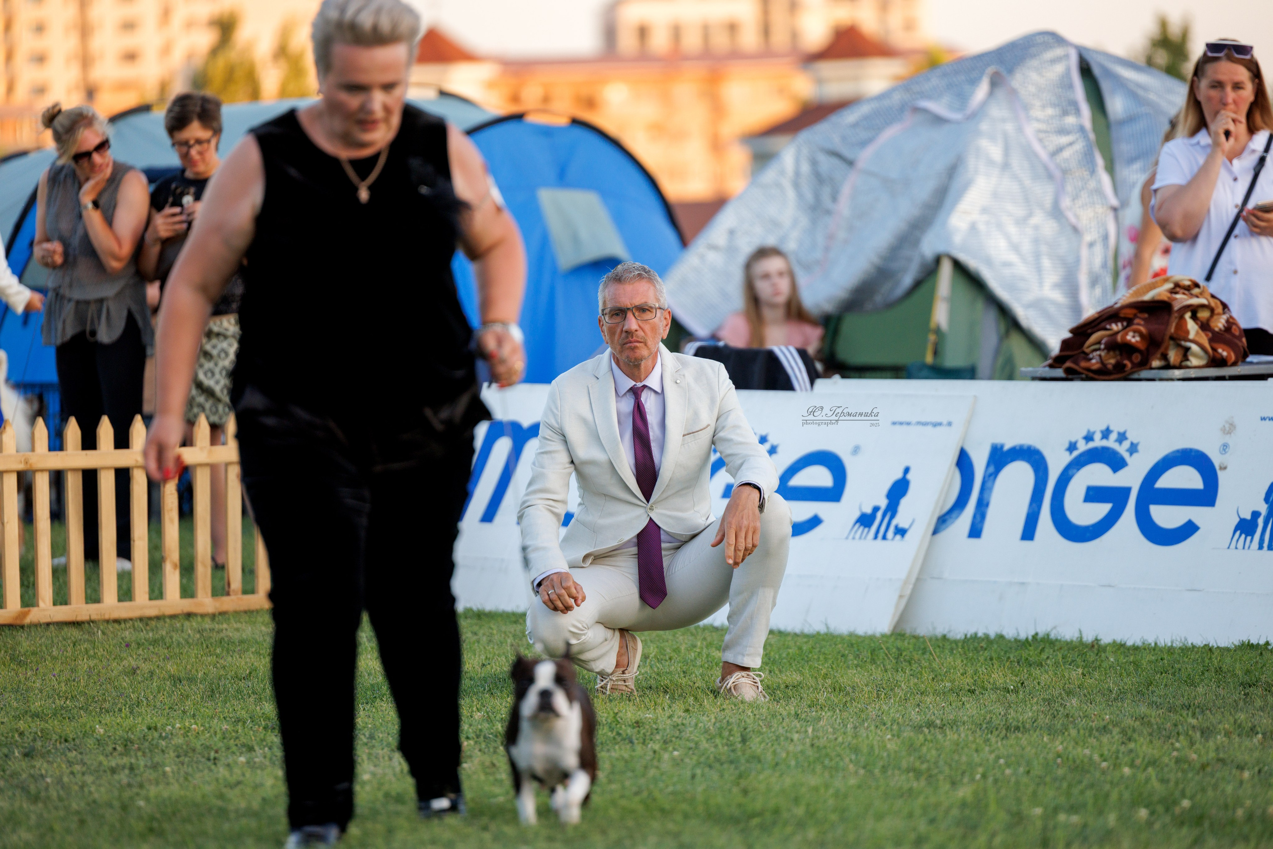 Ереван 3хCACIB 23-25.06.2025. Фотограф-анималист Юлия Германика