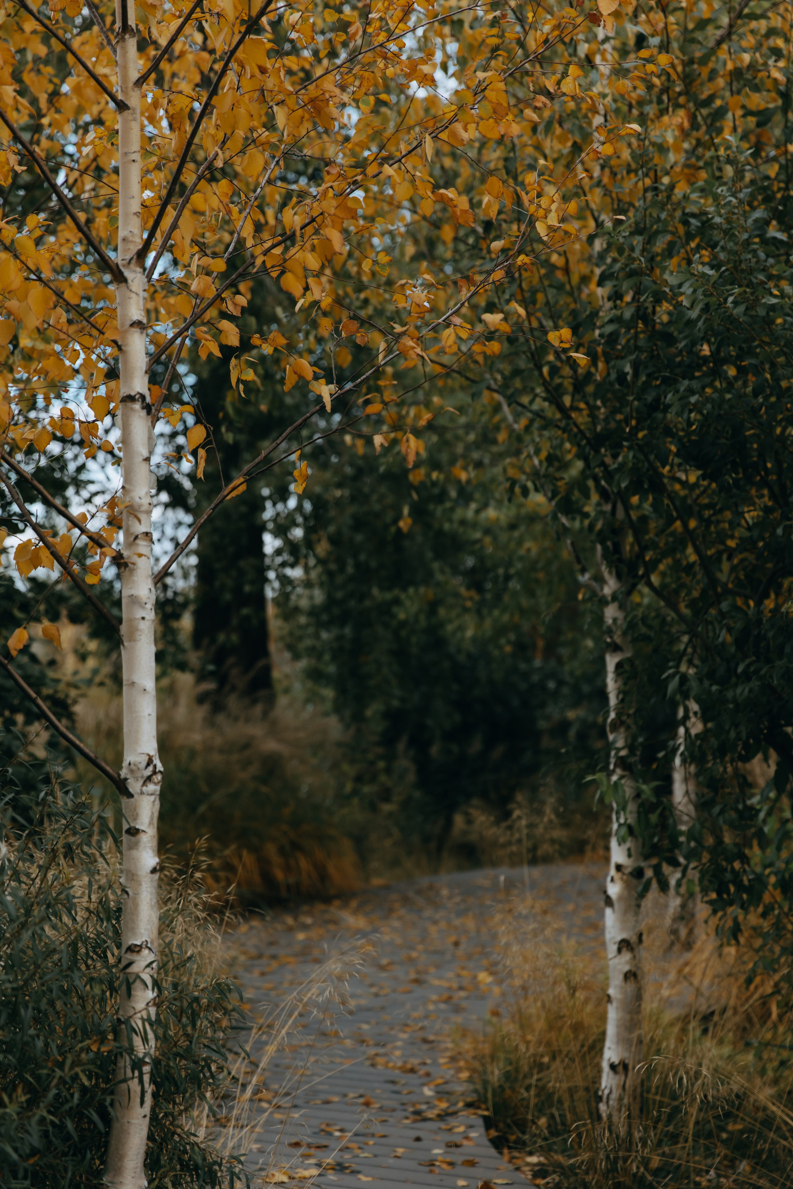 12.10.25. Фотограф в Белгороде Анастасия Веленгурская