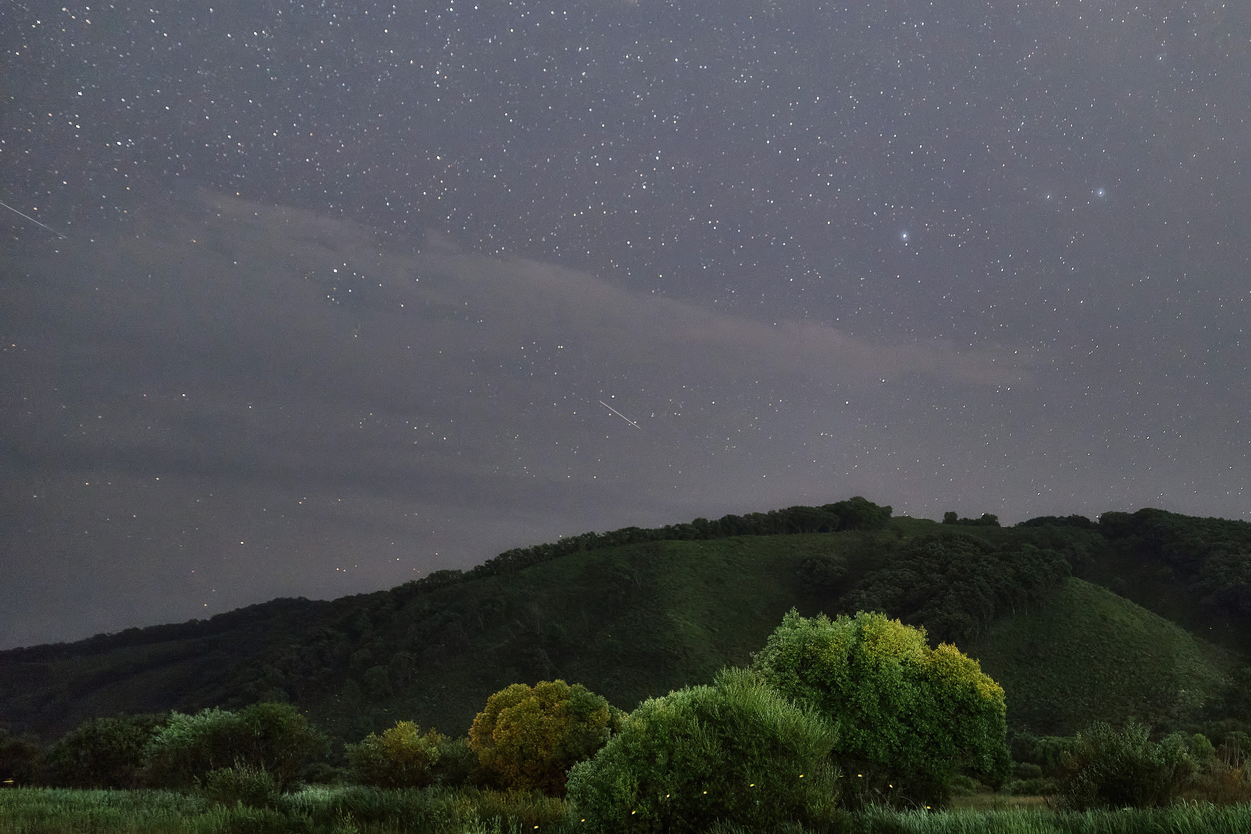 Светлячки на фоне сопок и деревьев Приморского края
