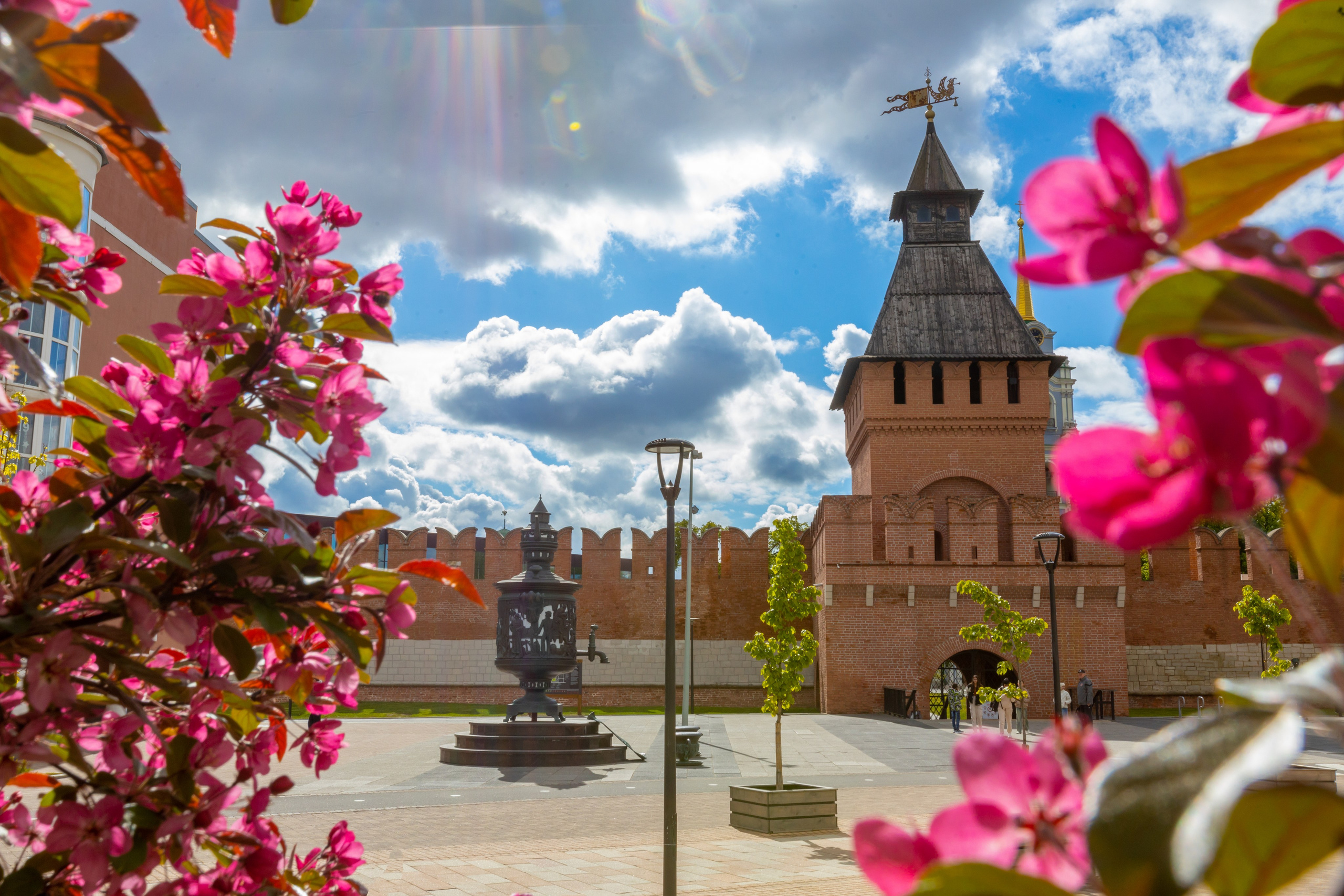 Весеннее цветение в Туле. Фотограф в Туле Крупский АнДРей. Фотостудия «КАДР71» в Туле