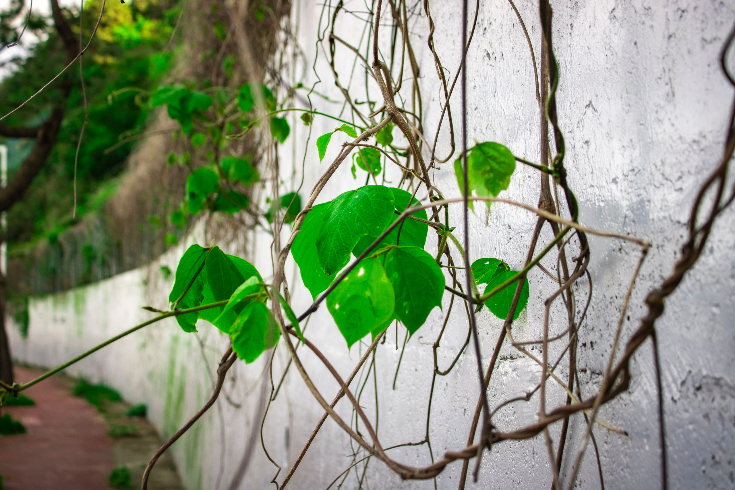 Однажды в Корее. Часть 1. Фотограф г. Владивосток