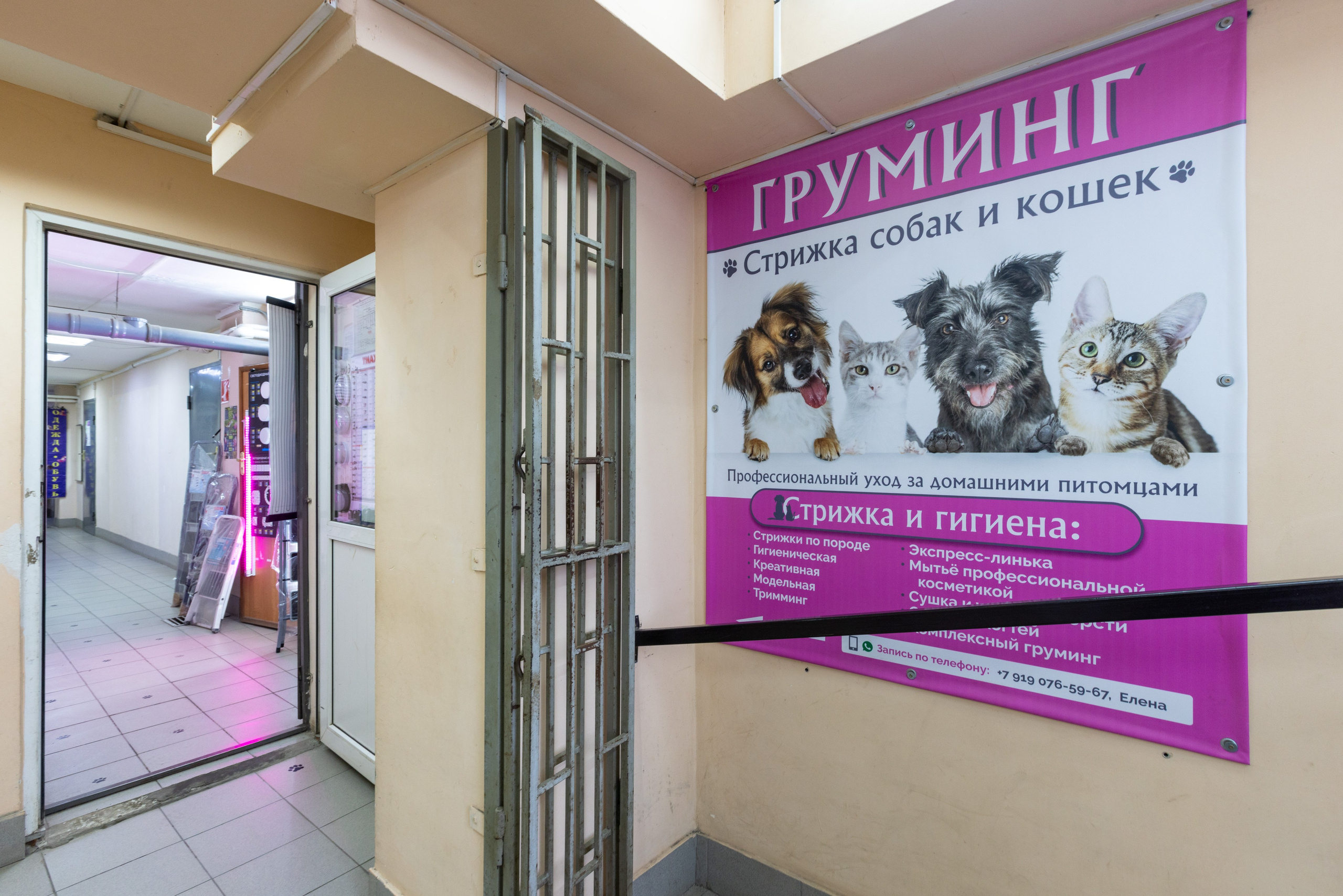 ГРУММИНГ. Фотограф в Туле Крупский АнДРей. Фотостудия «КАДР71» в Туле