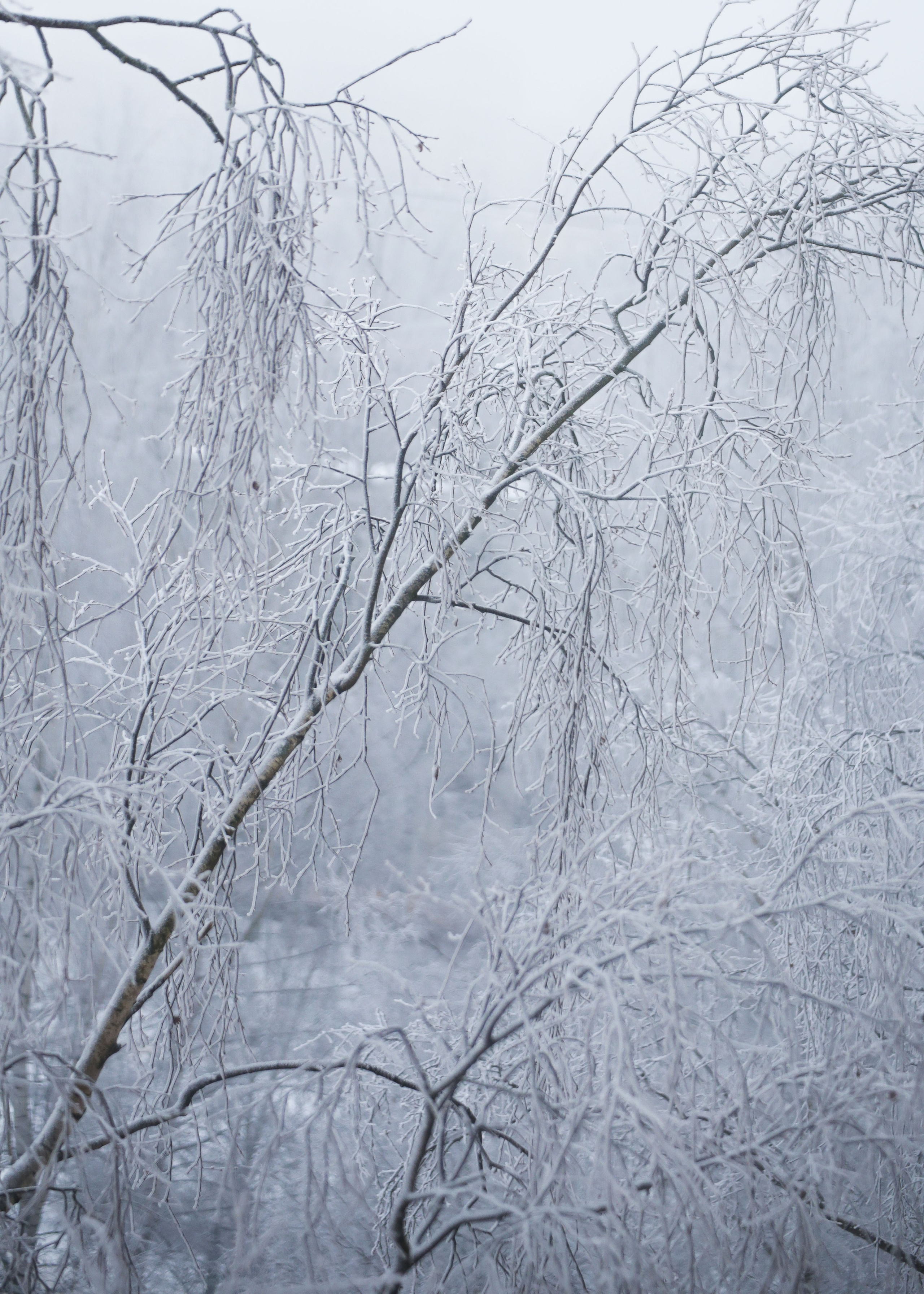 Зима. Костюмер, художник кино и телевидения в спб