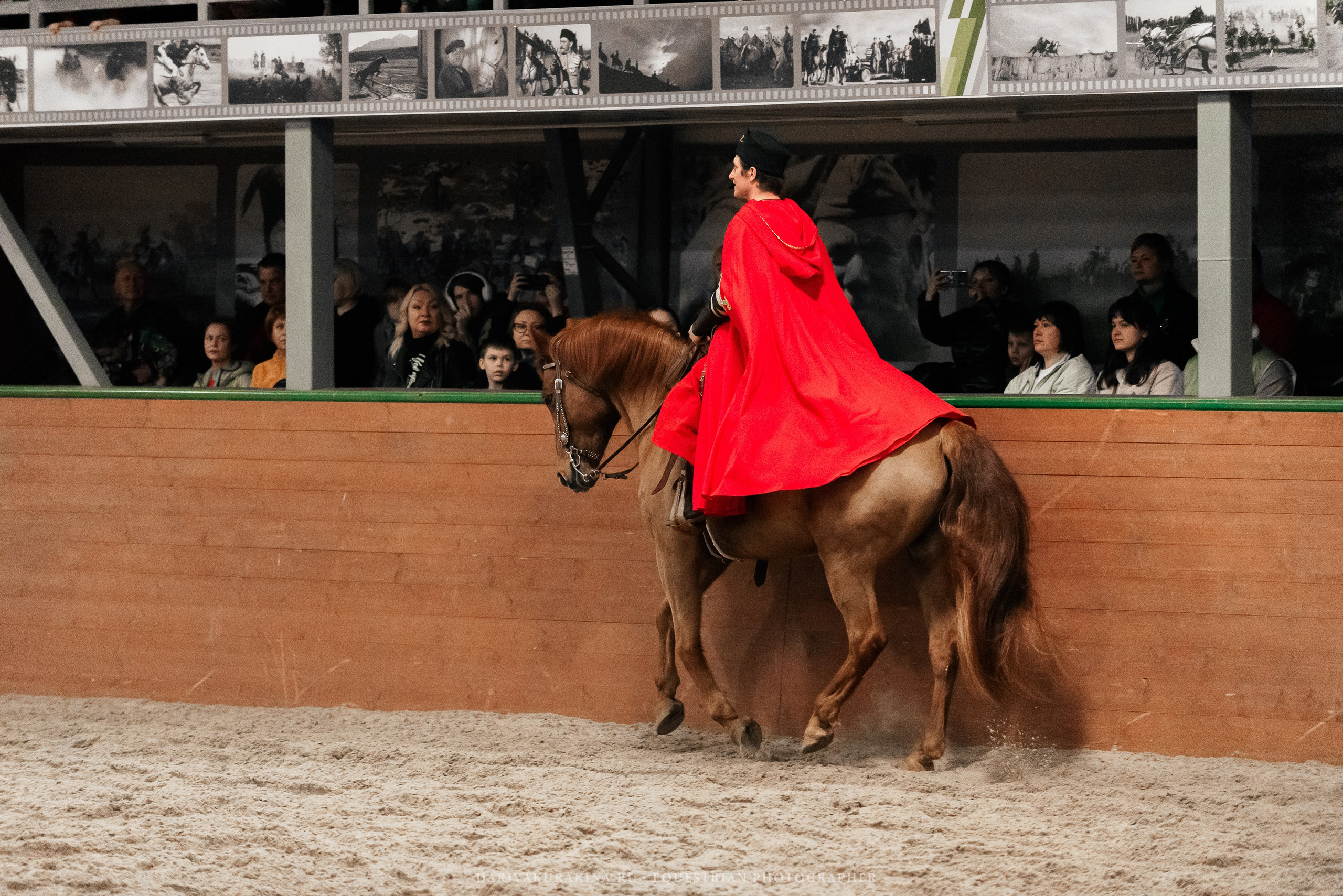 Конное представление «Дыхание Звёзд». Конный фотограф Куракина Дарья • Фотосессии с лошадьми